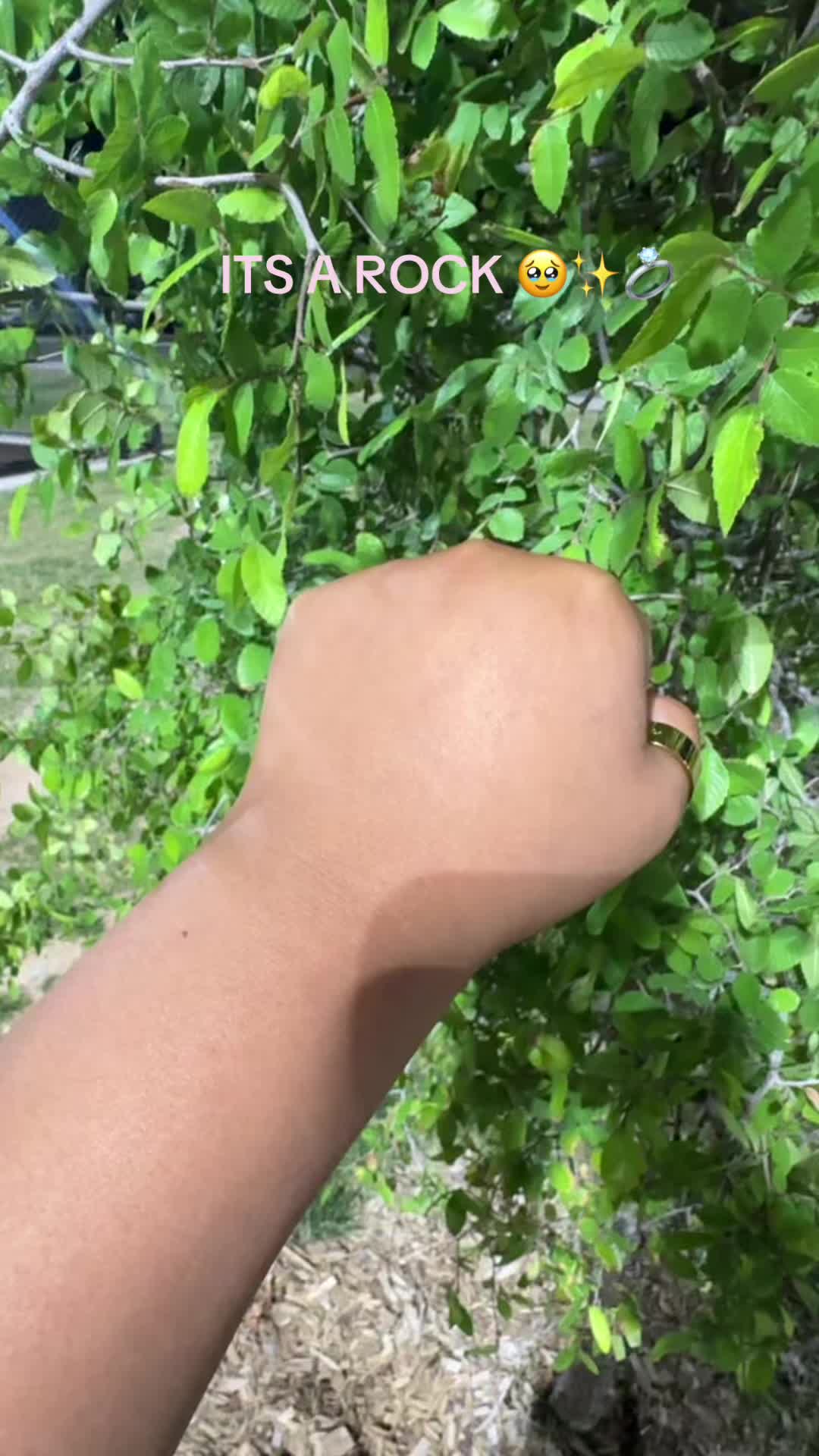 @Cynthia Ramirez