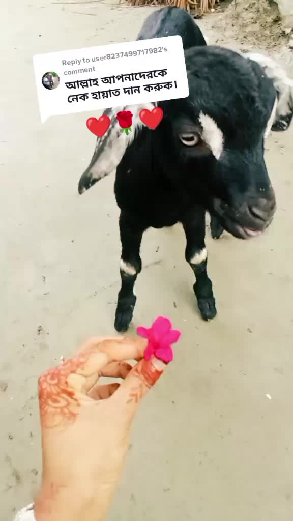 @samira