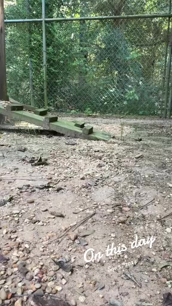 @Cedarhill Animal Sanctuary