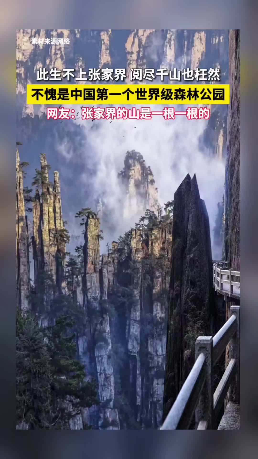 @追梦熊猫人