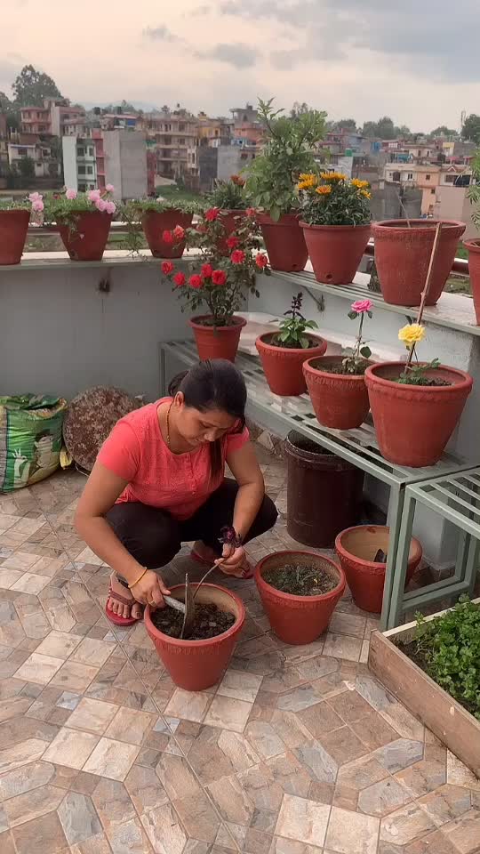 @Lata