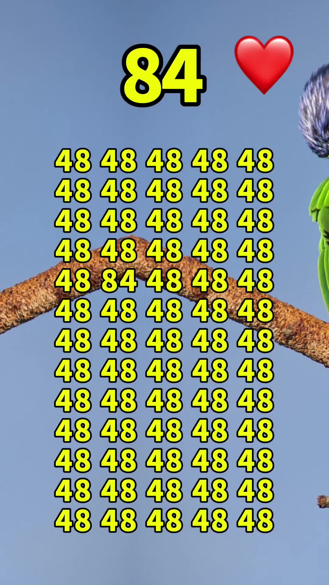 @Ip66