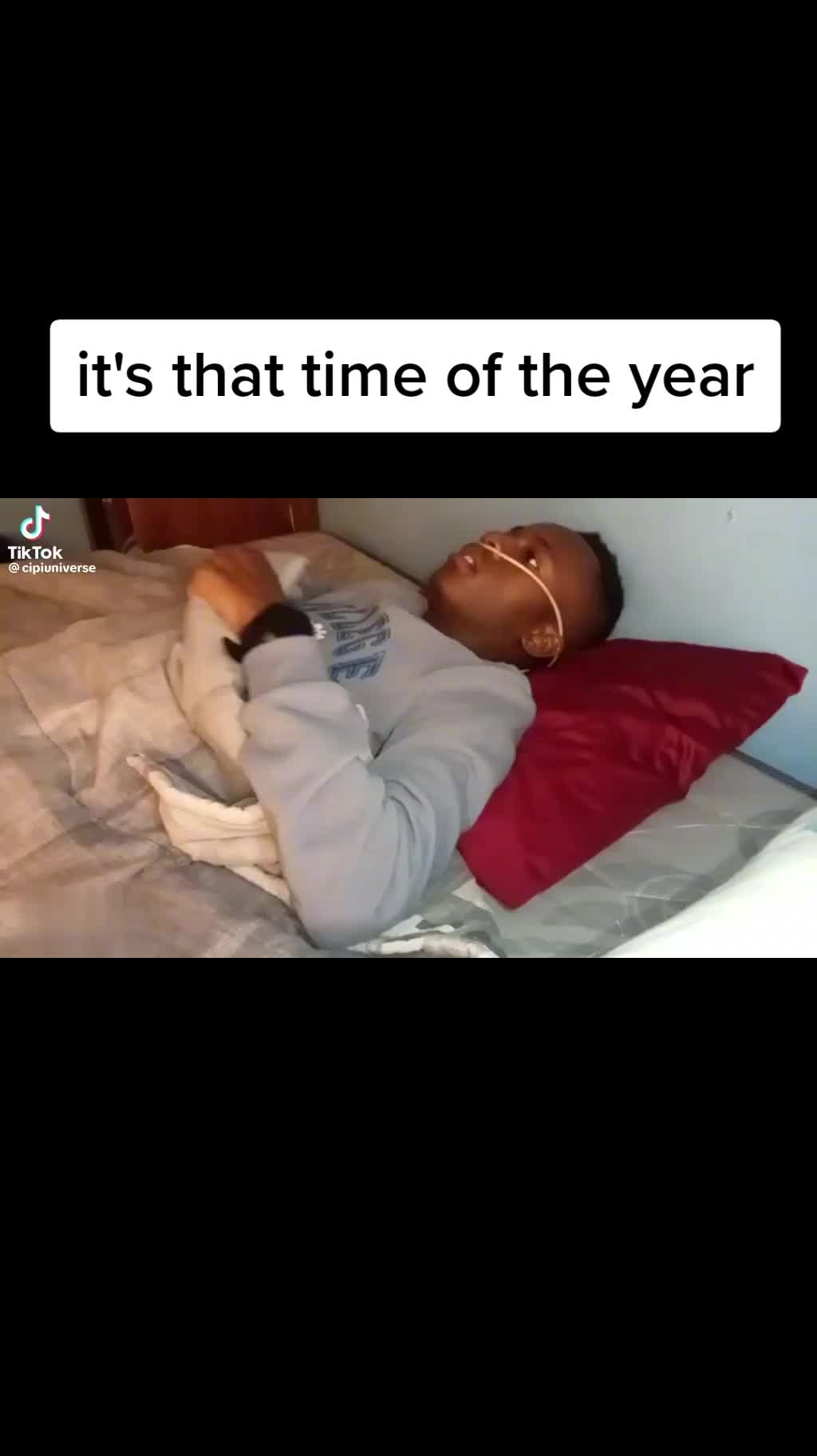 @Vibewithzee😎