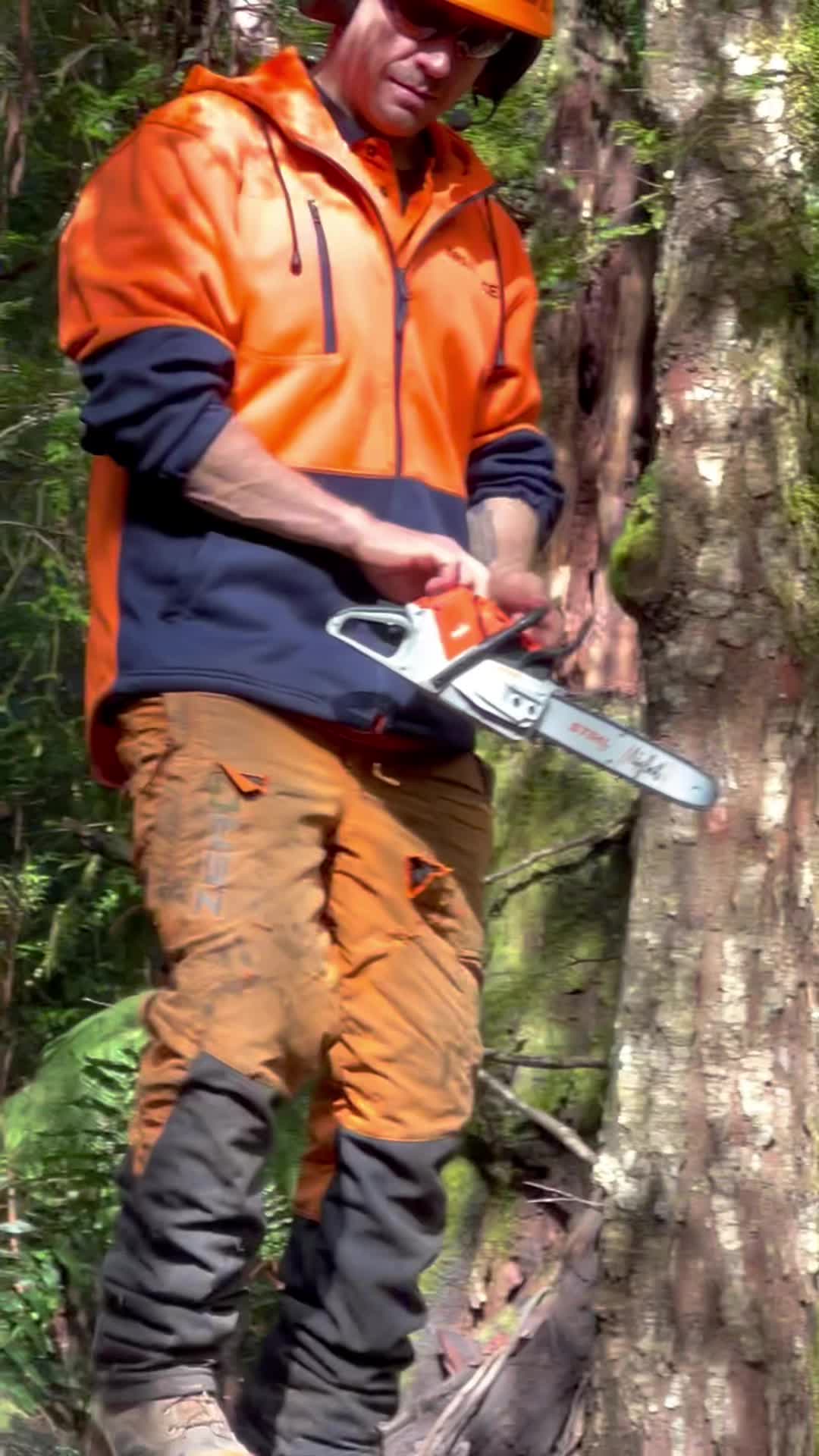 @acetrees