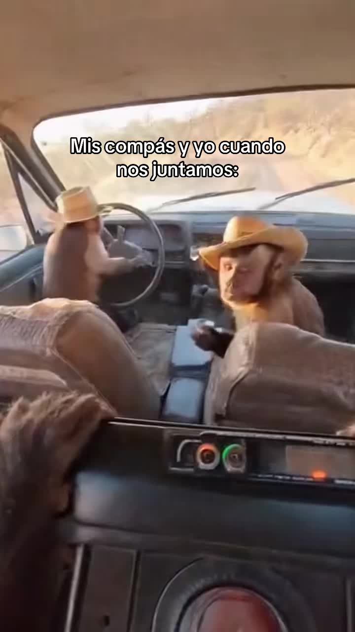 @jaremonox