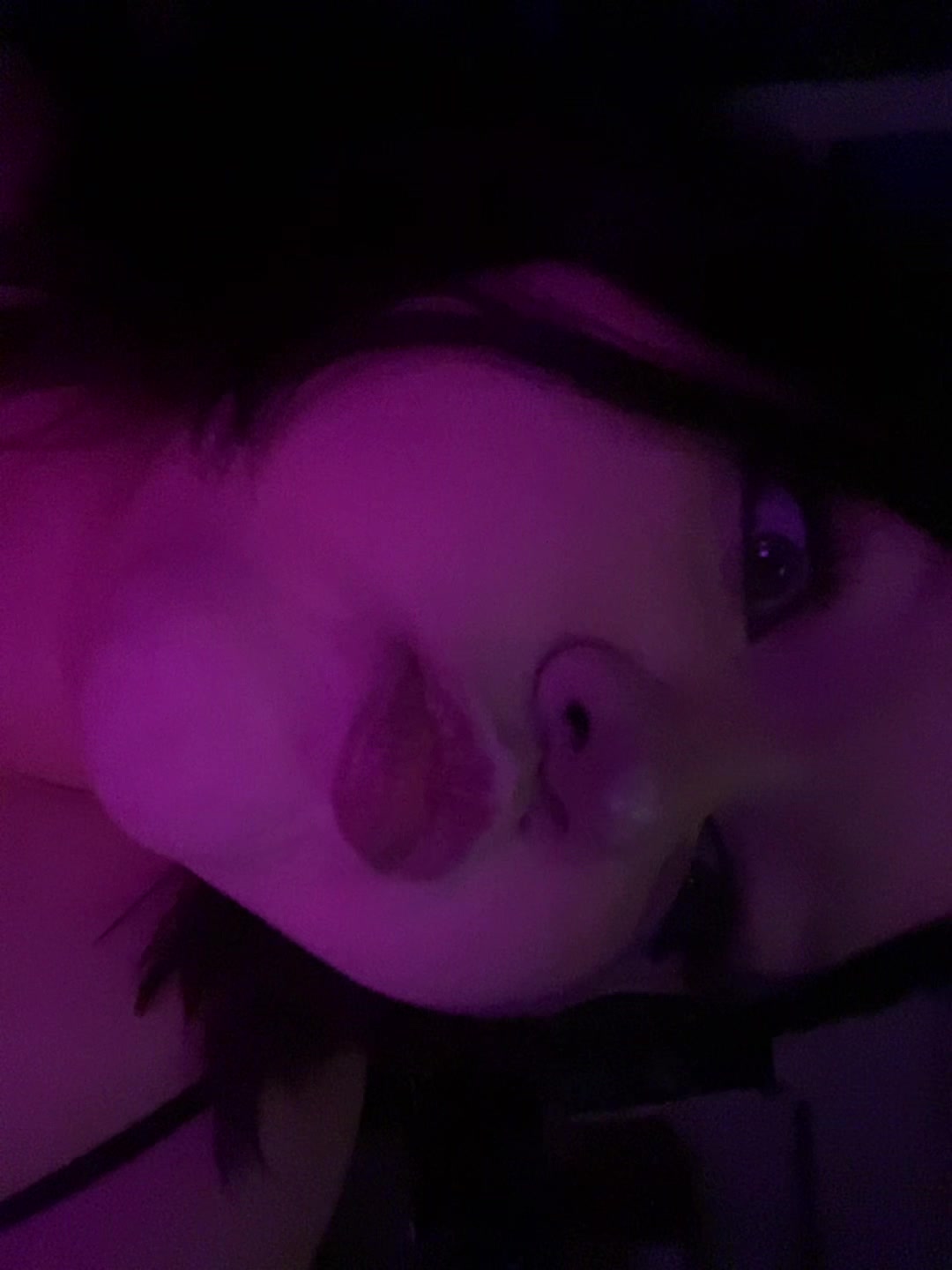 @rein🧟♀️🦇