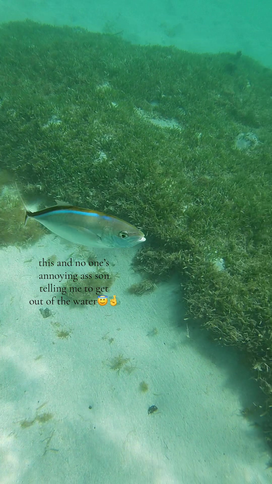 @marinebiotok🪸🤿