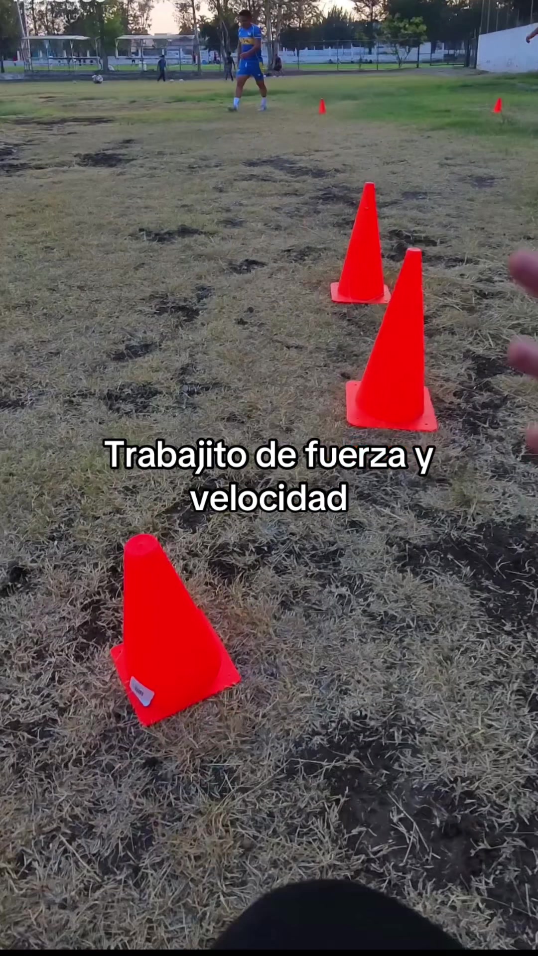 @Dantinho