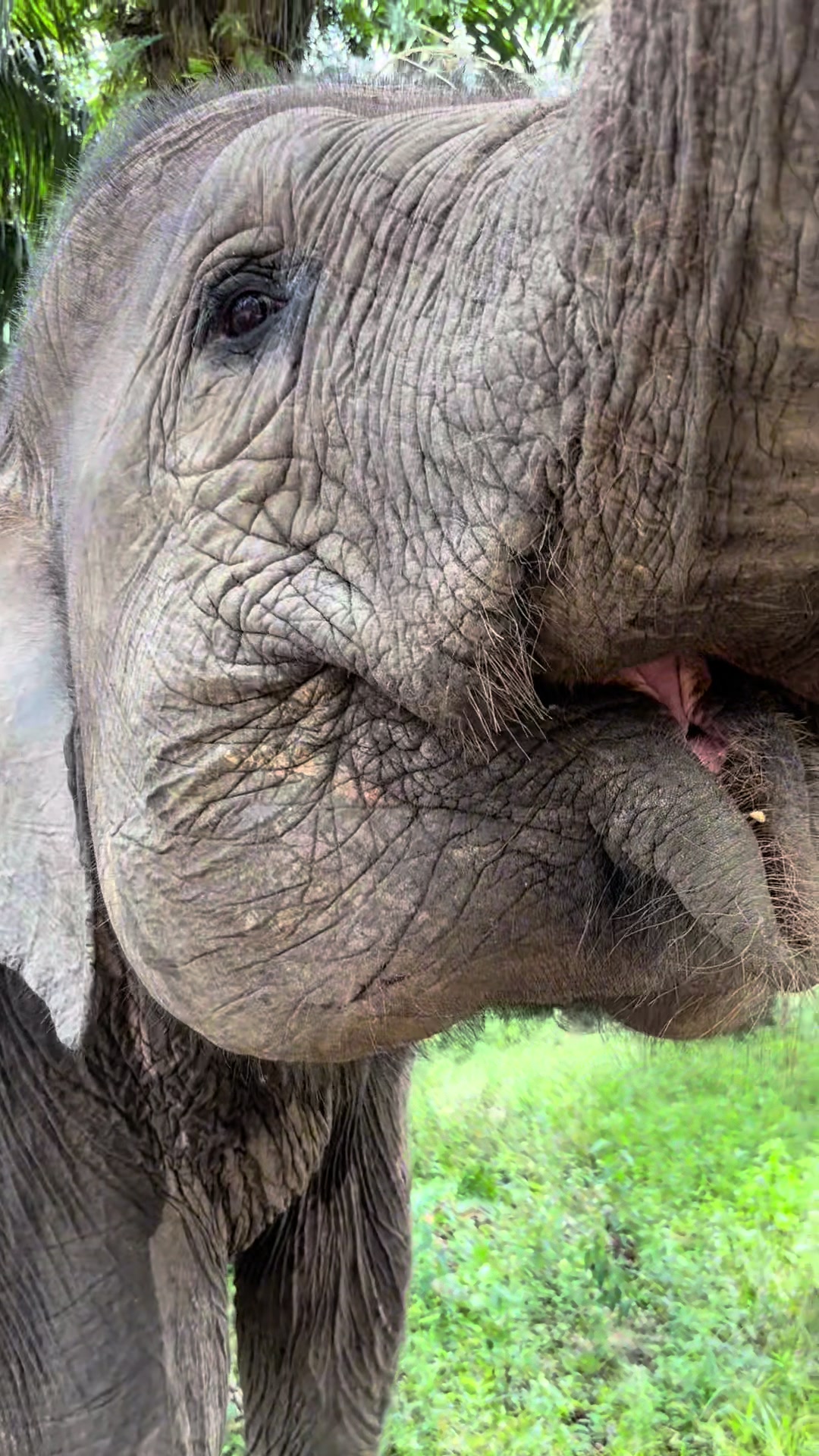 @ridhanrhyti ꫂ❁