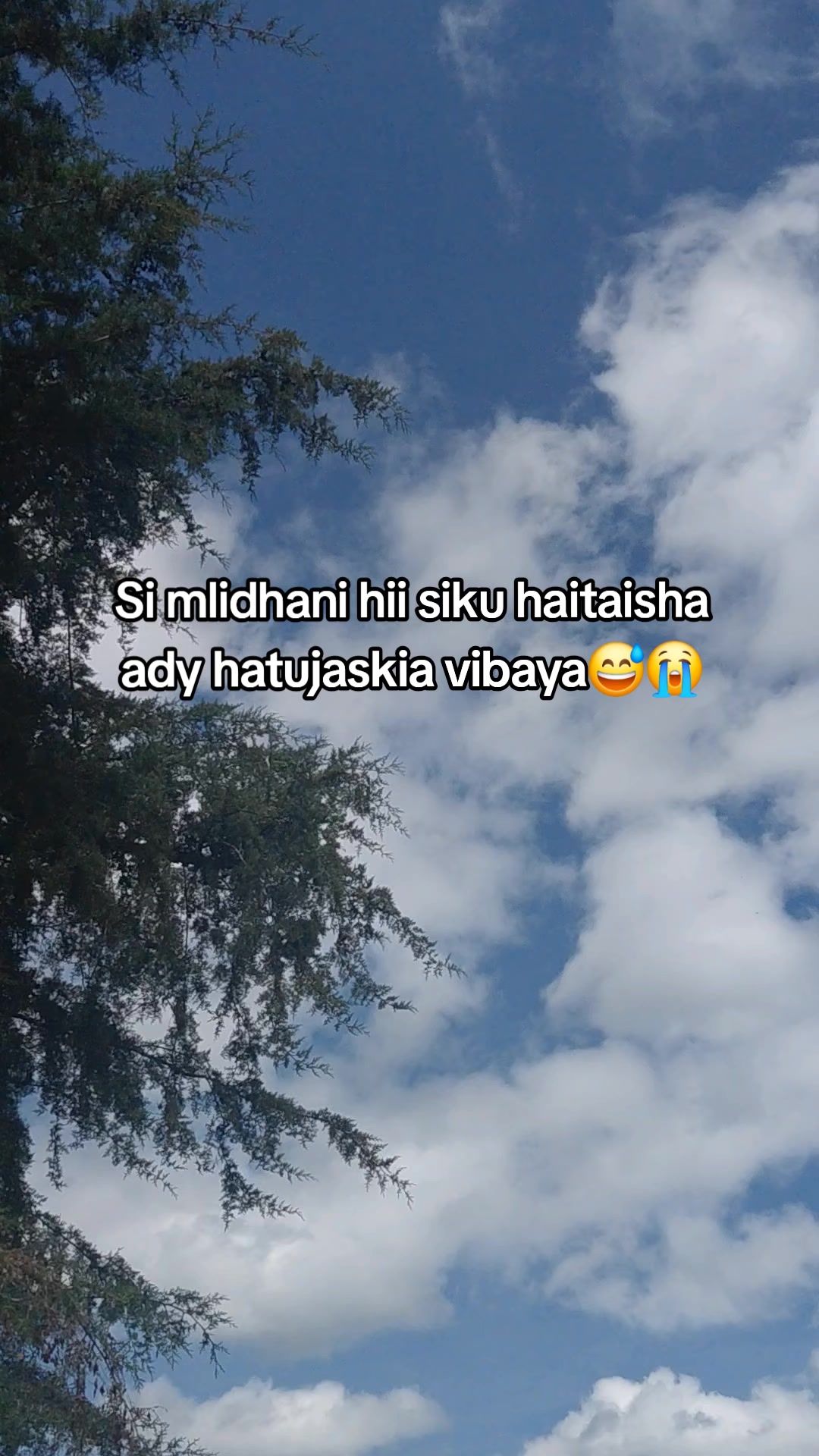 @joemax🥷
