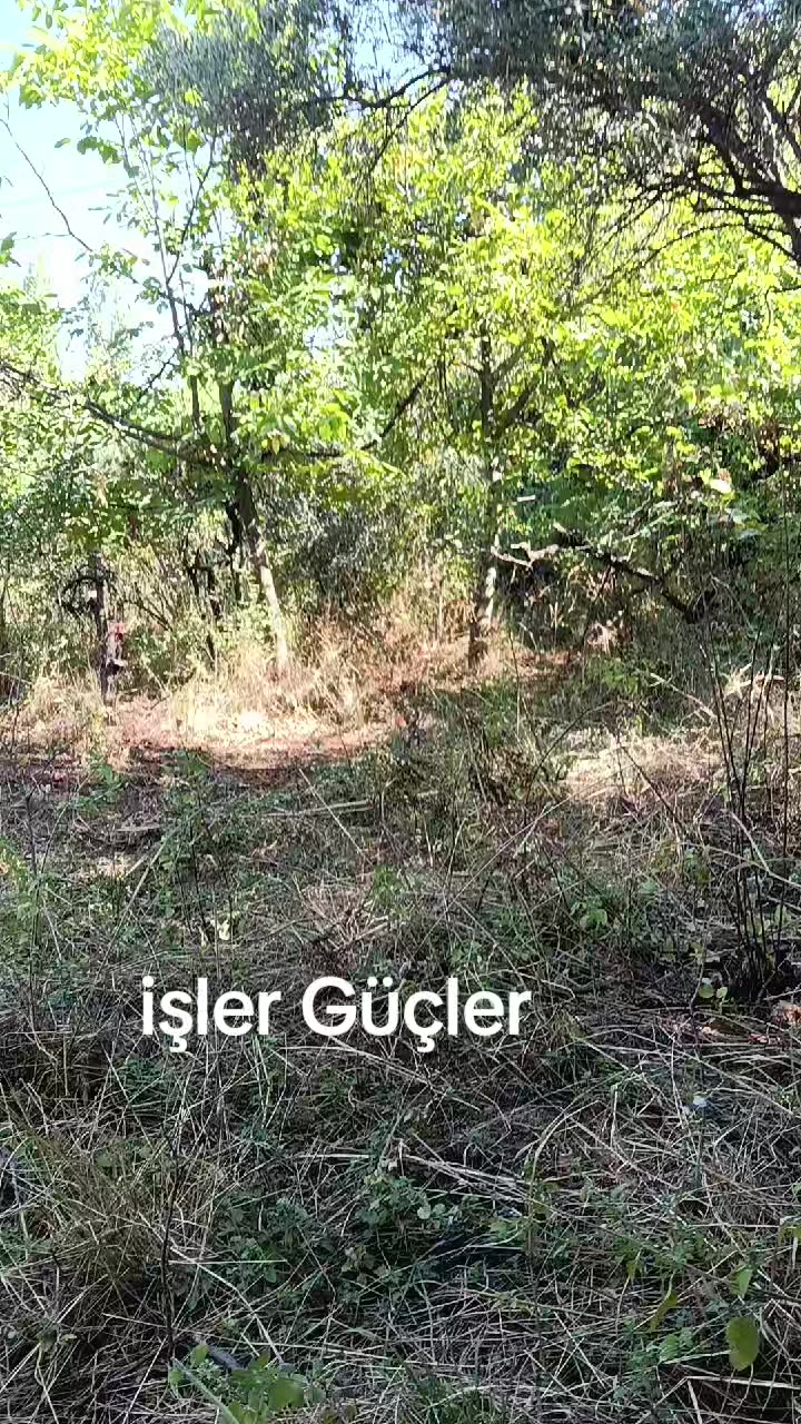 @emre3330