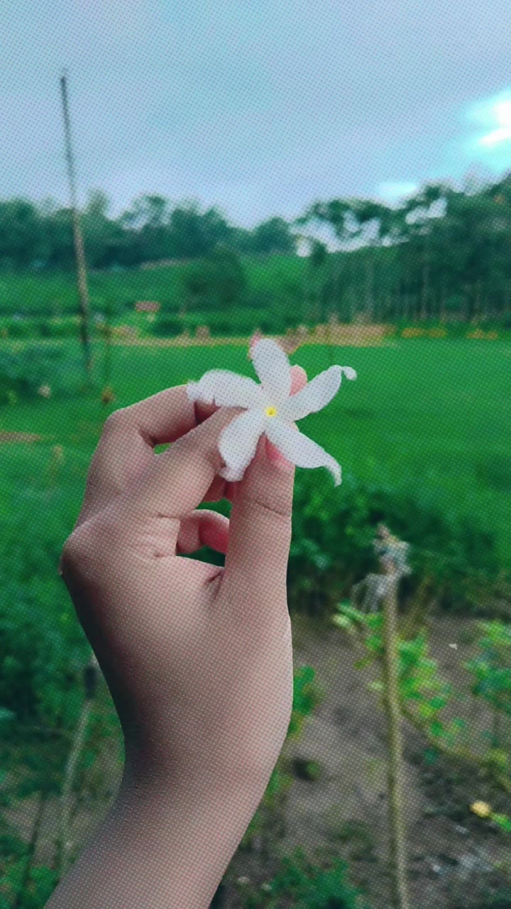 @🦋🦋দ্বীপান্বিতা🦋🦋