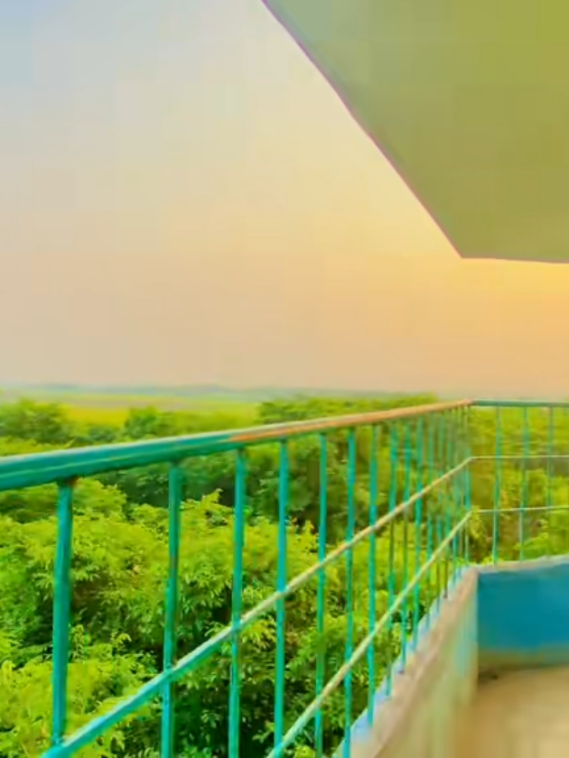 @đ¸đĻâī¸shimulbagan_1âī¸đ¸đĻ