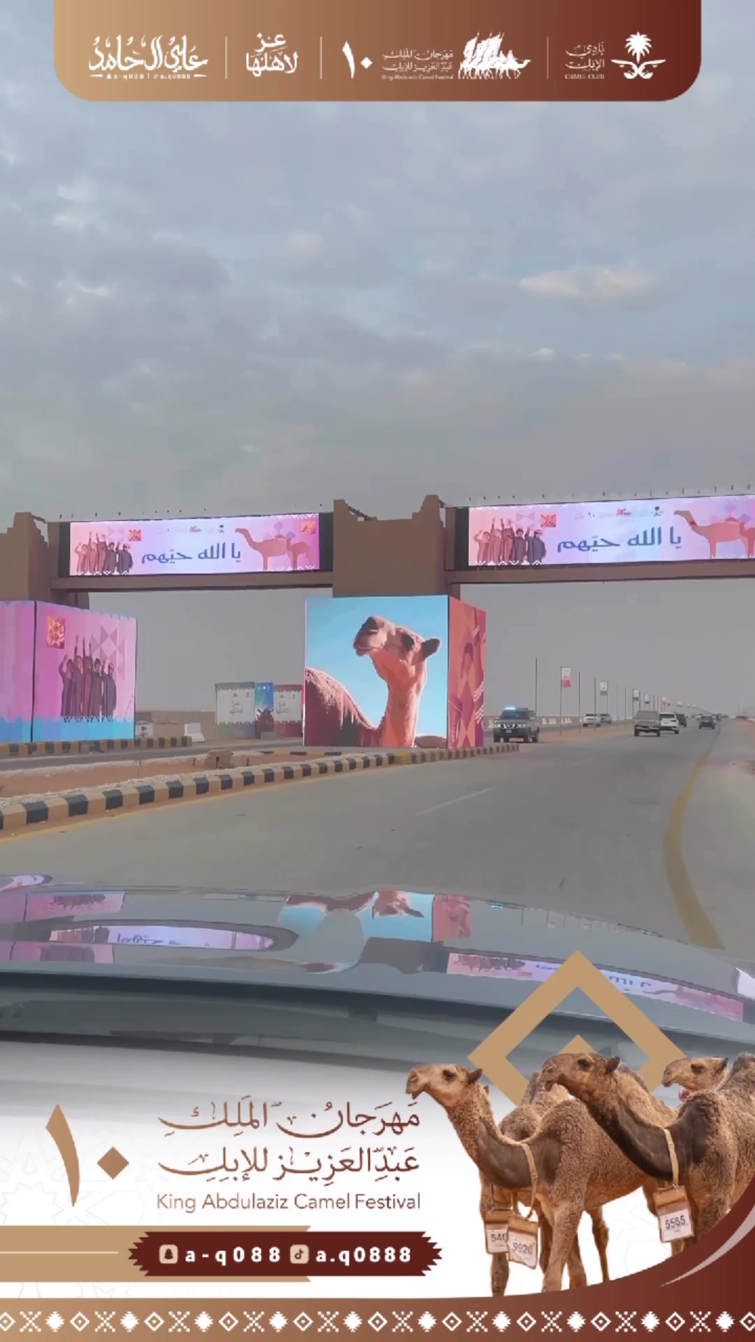 @علي الٓ حامد / 🎙️