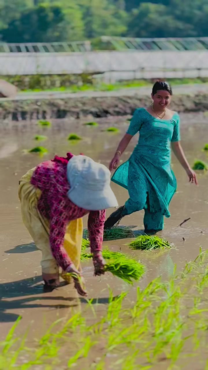 @laxmi Adhikari