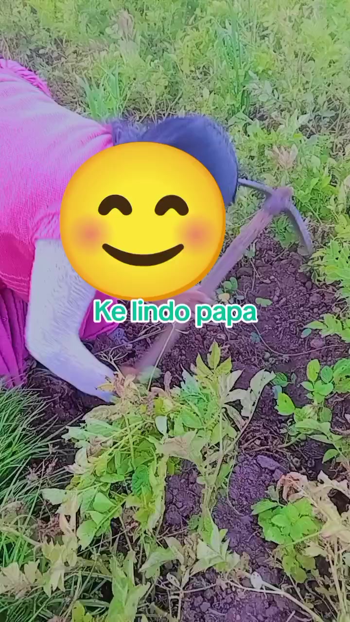 @rousrossy