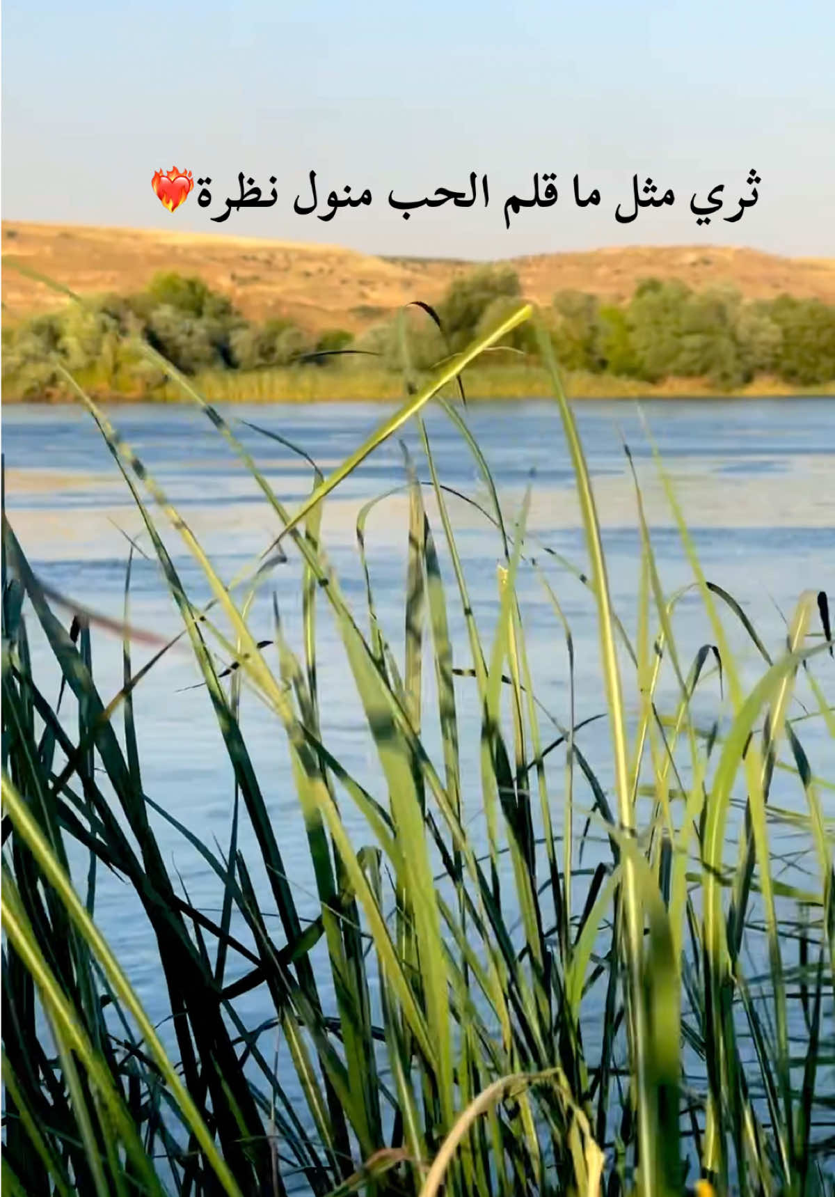 @سـريـانو MG 𓆩🇸🇾