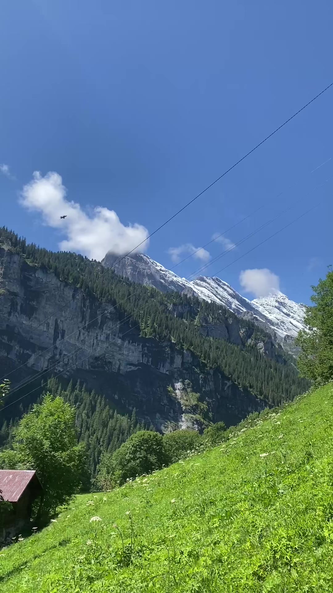 @natur