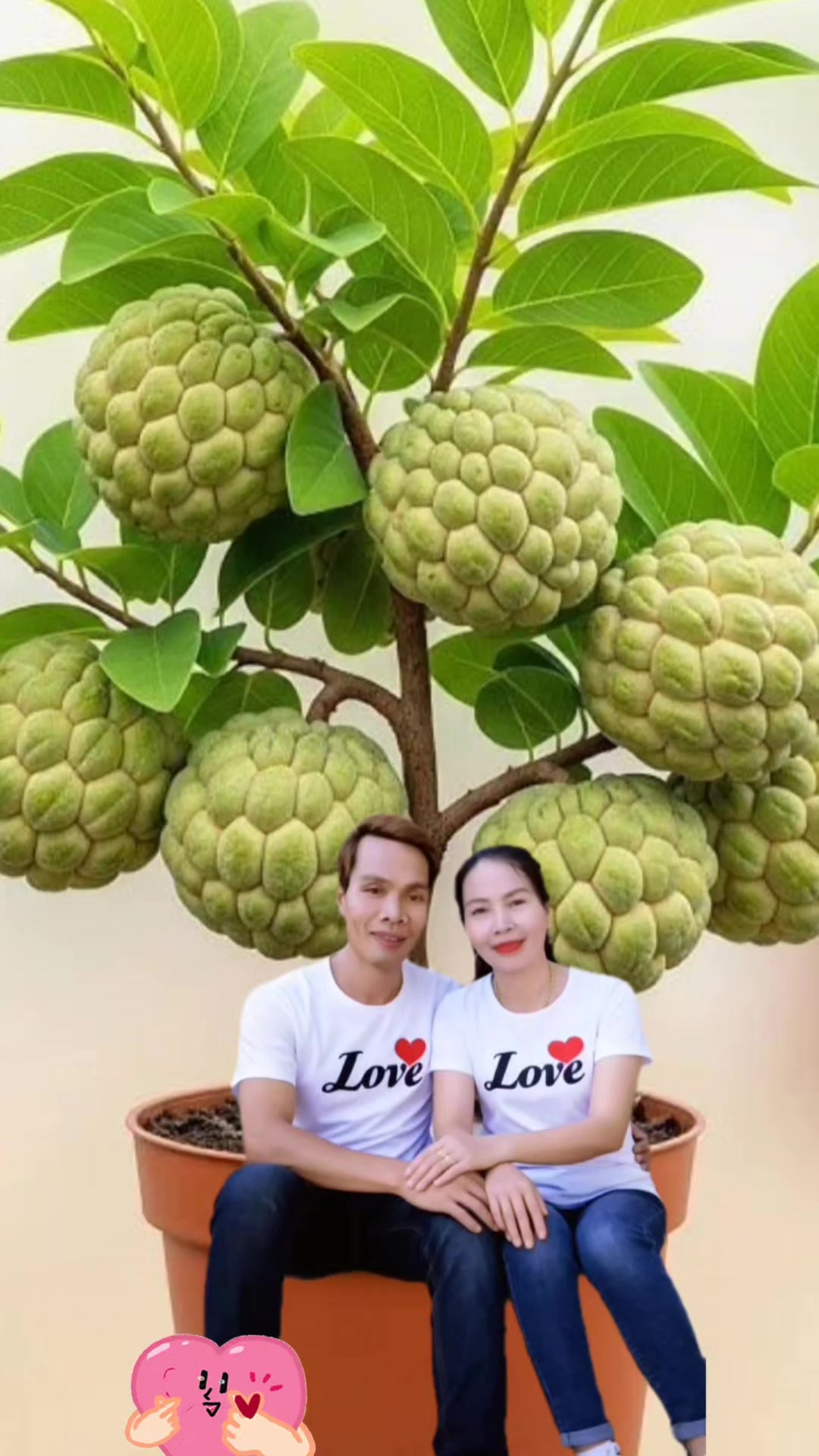 @THANH THƯƠNG