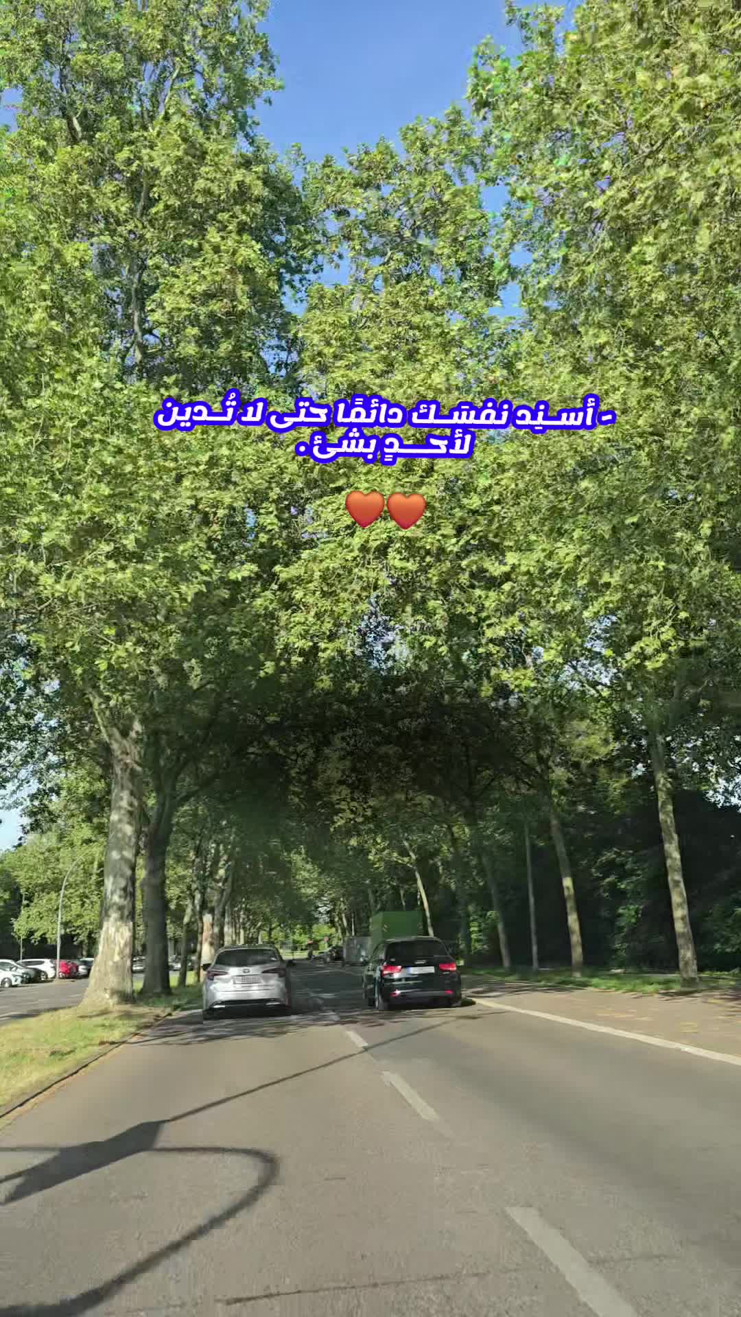 @ghofran8494