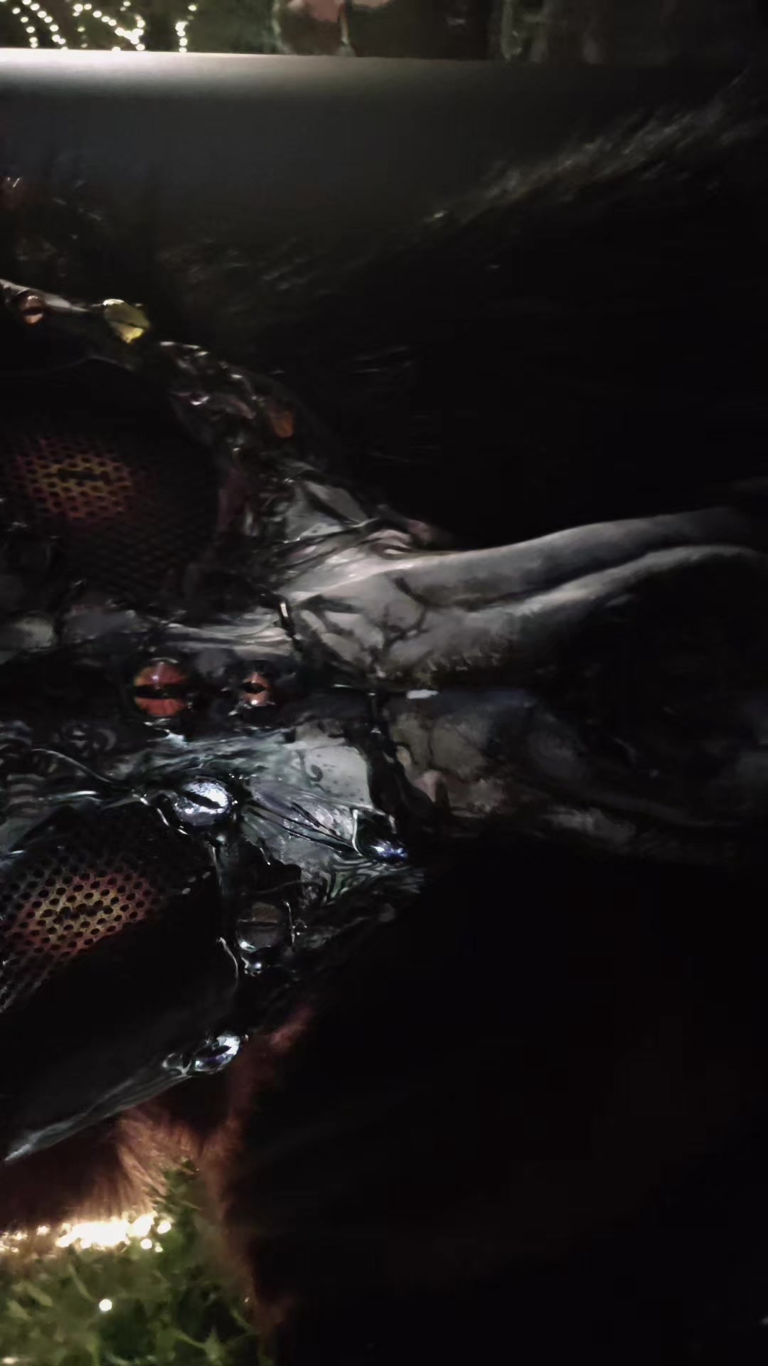 @🦇𝓥𝔂𝓷🦇 {Wesker's worms}