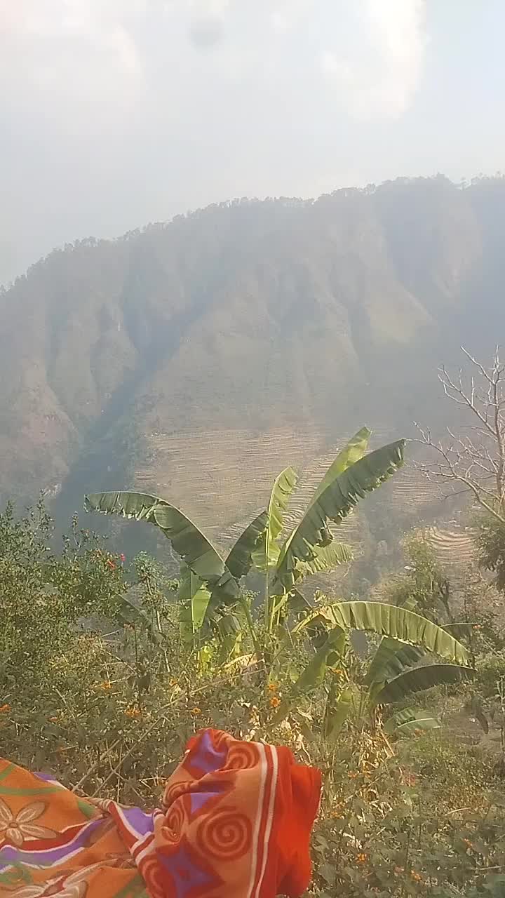 @mr prakashauji