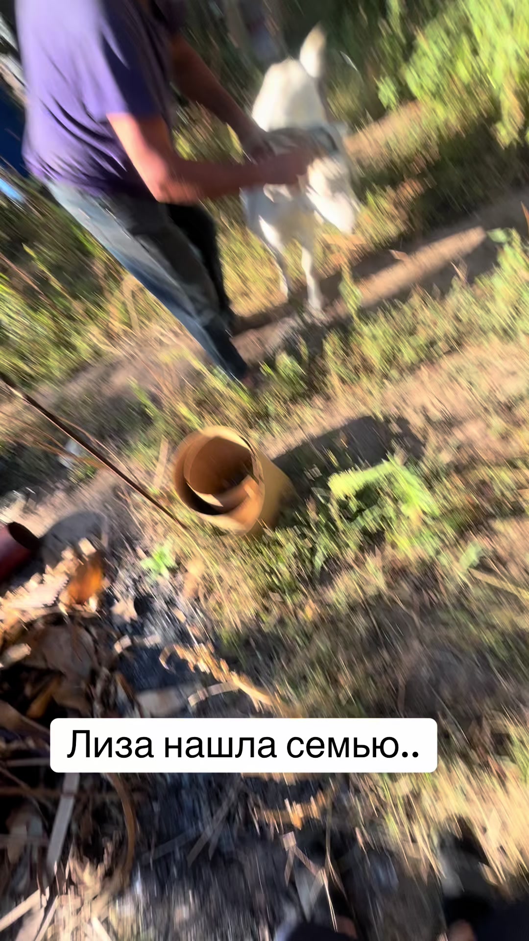 @Арсен