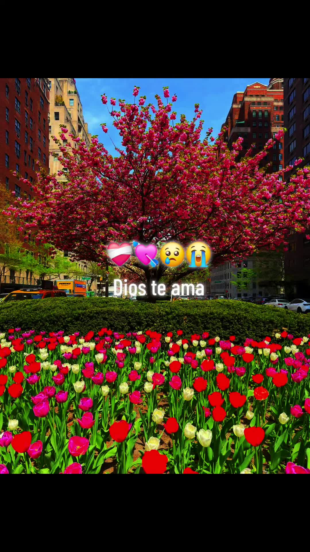 @Marlon denis