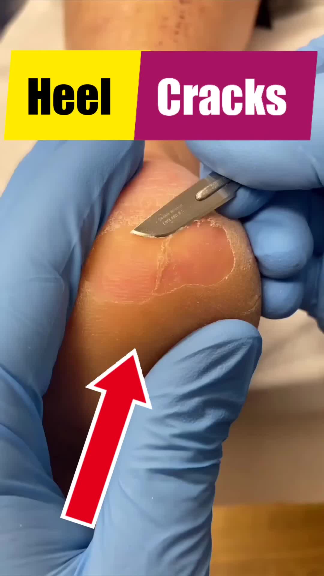 @ergonx