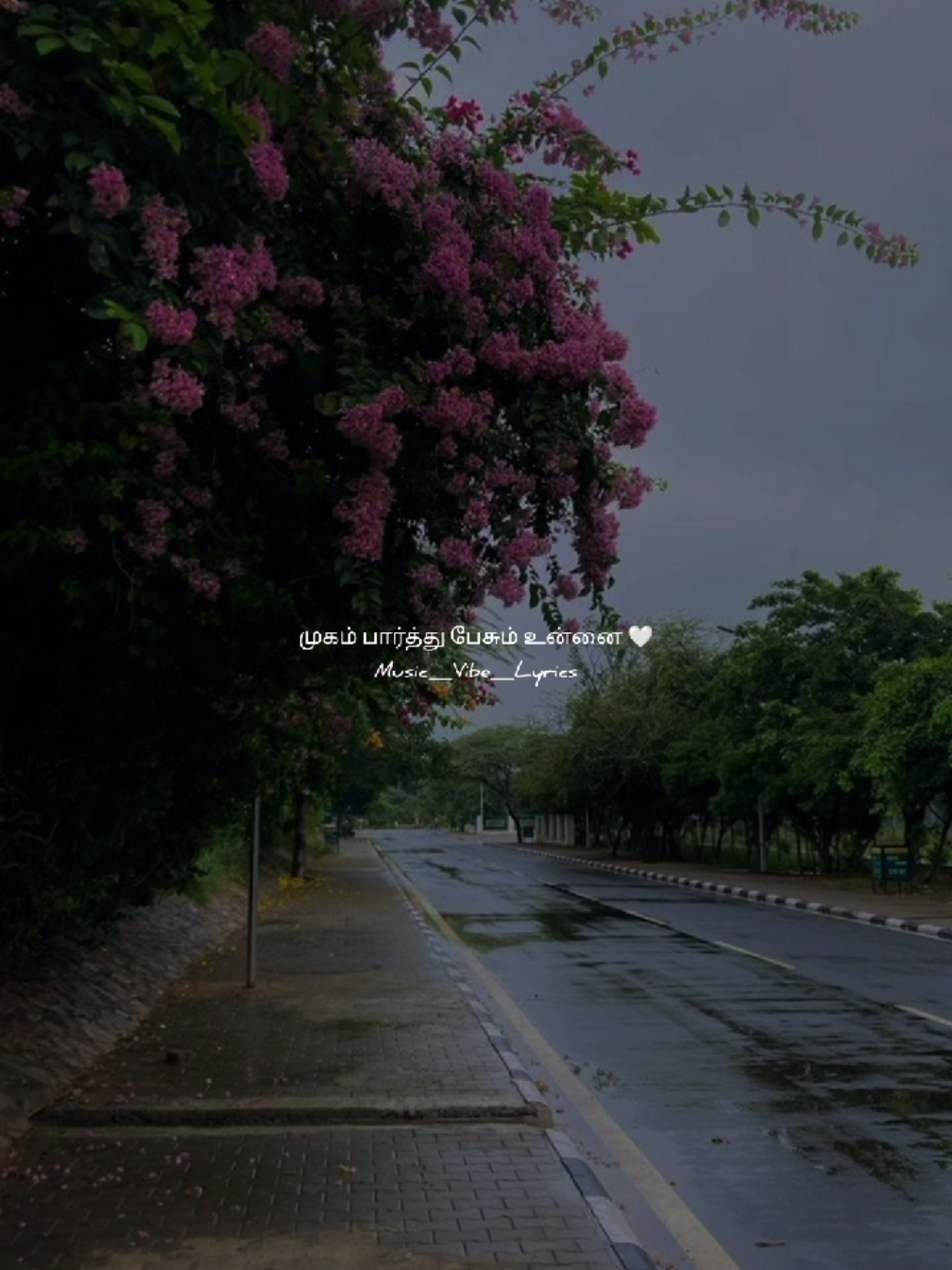 @Music_Vibes_Lyrics 🎶