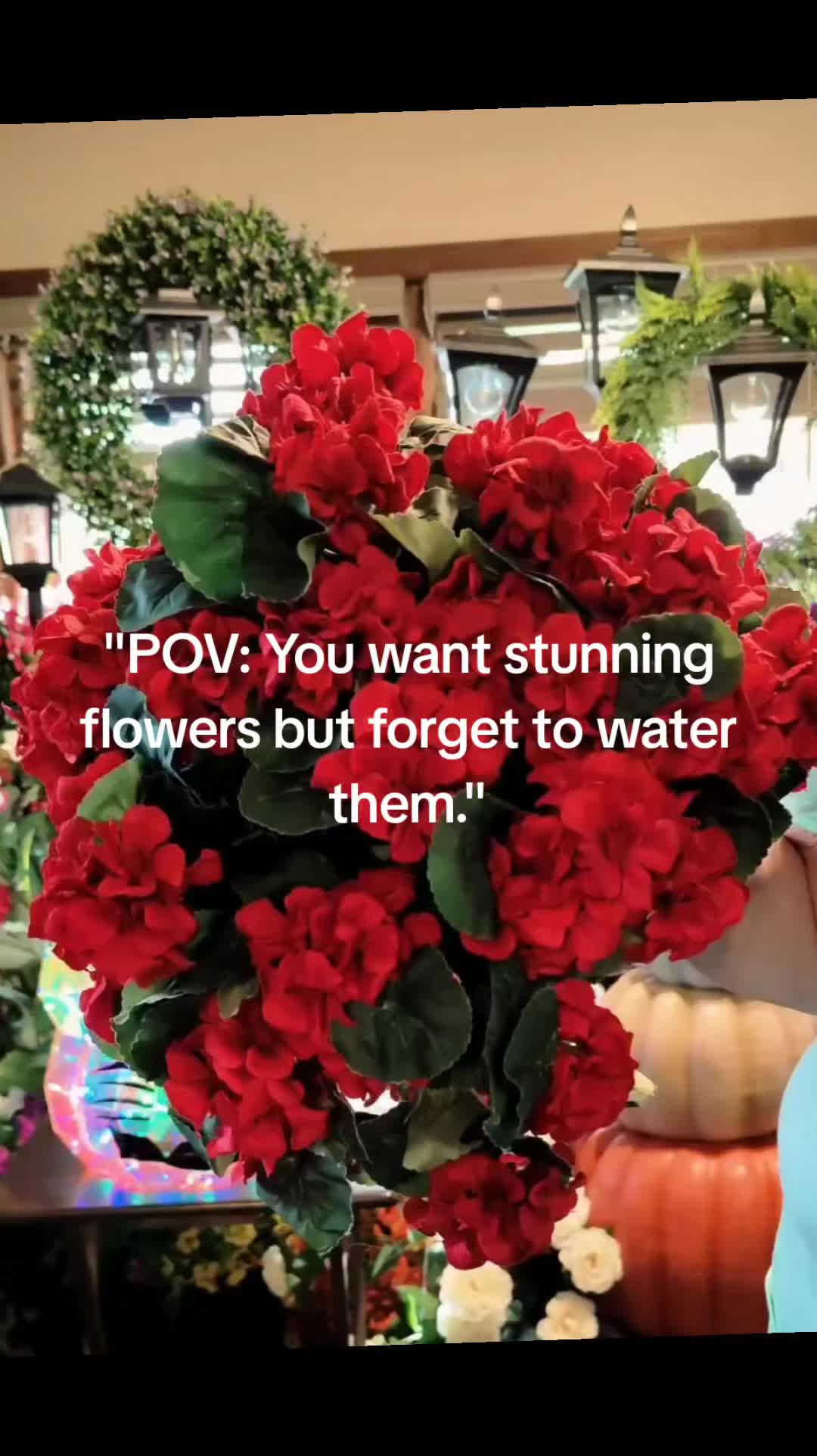 @Cathy (WB)