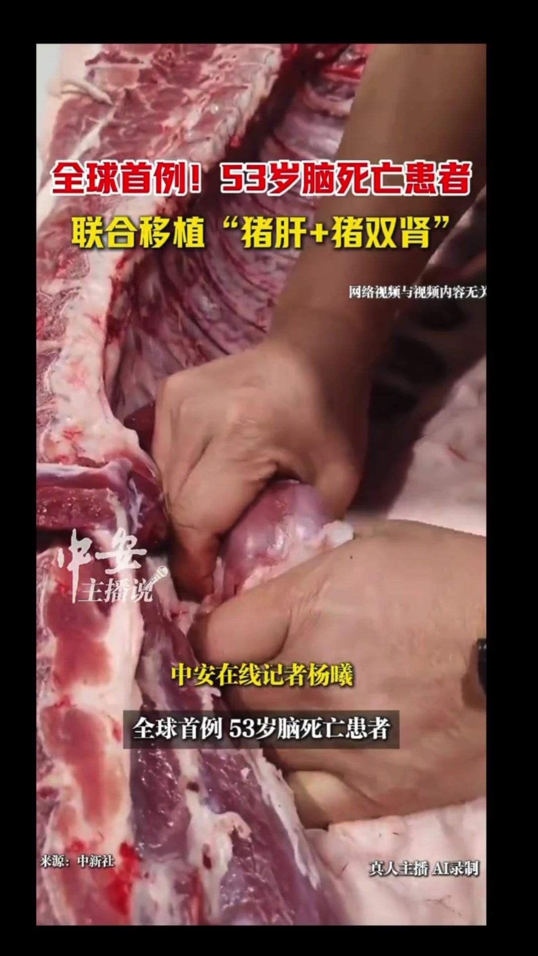 @沧海一粟3
