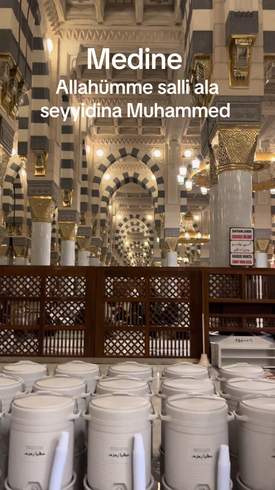 @hayalimm.