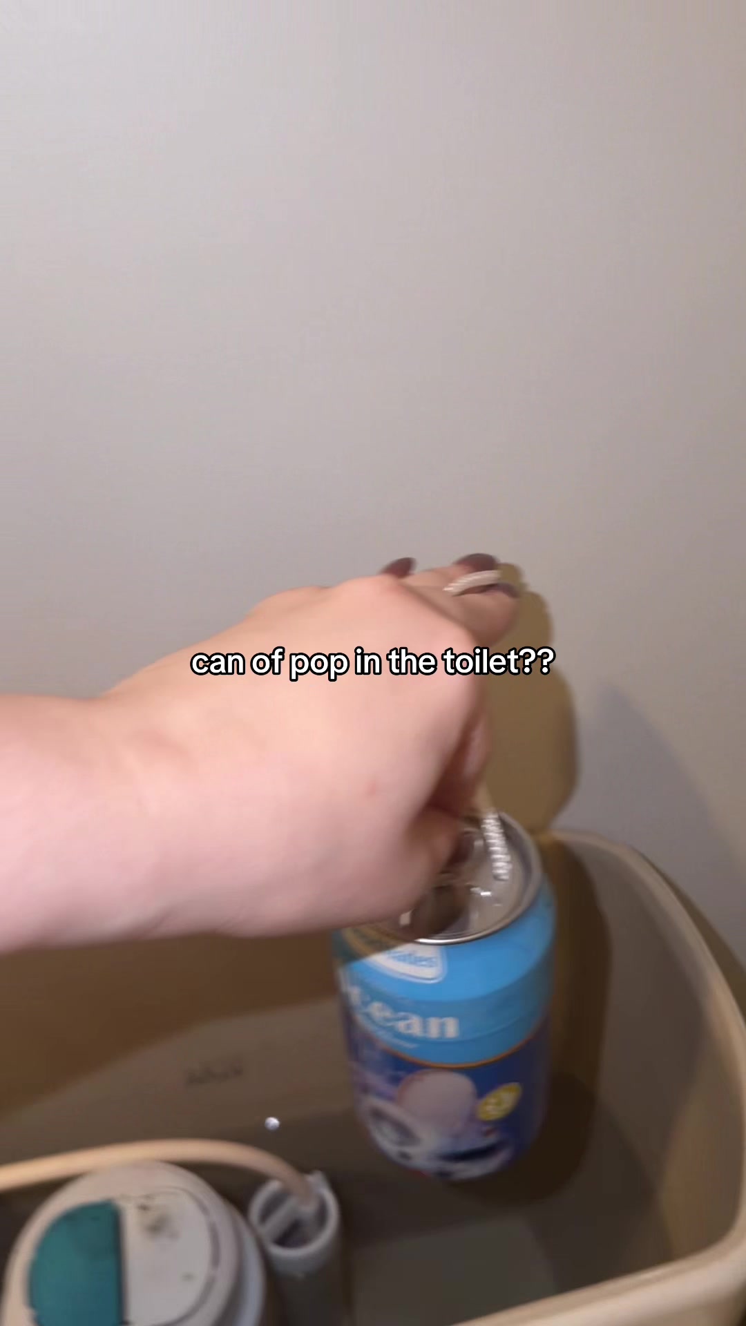 @rachel