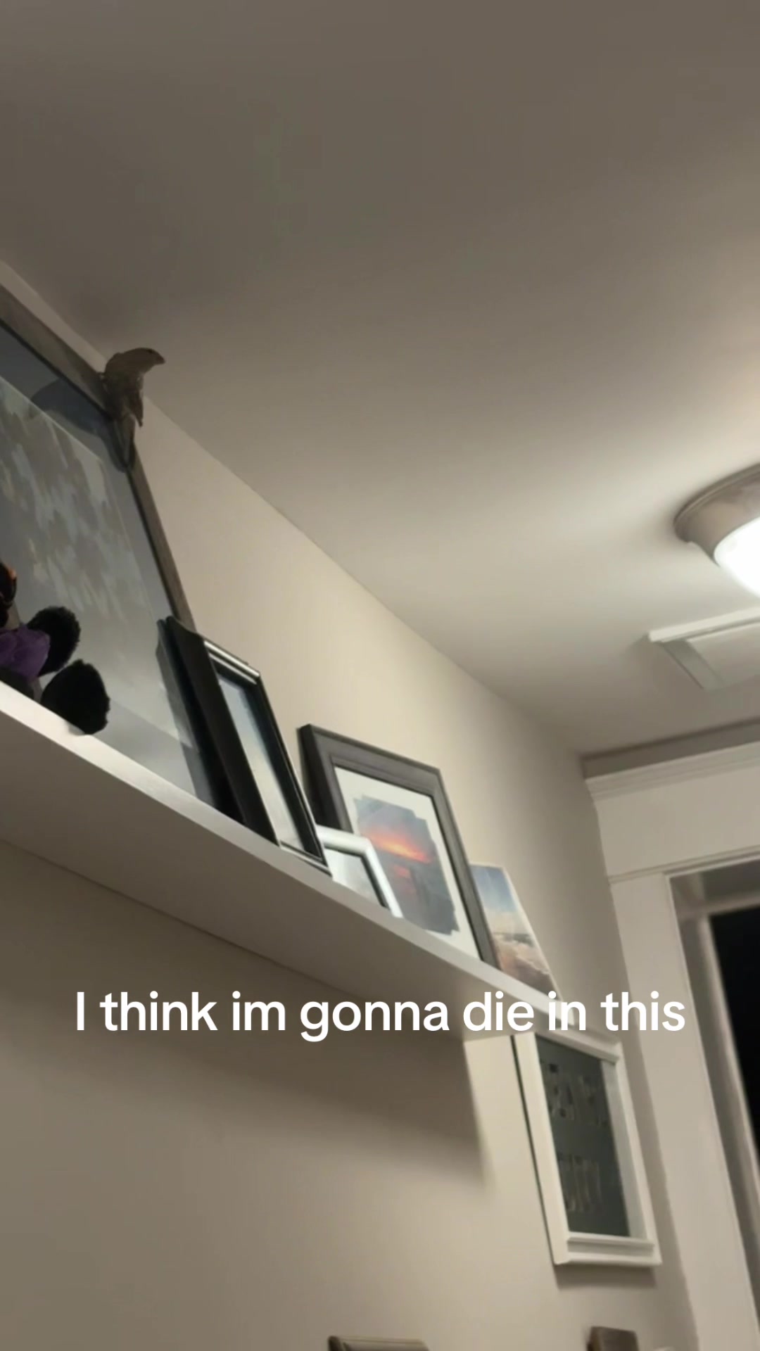 @kjk