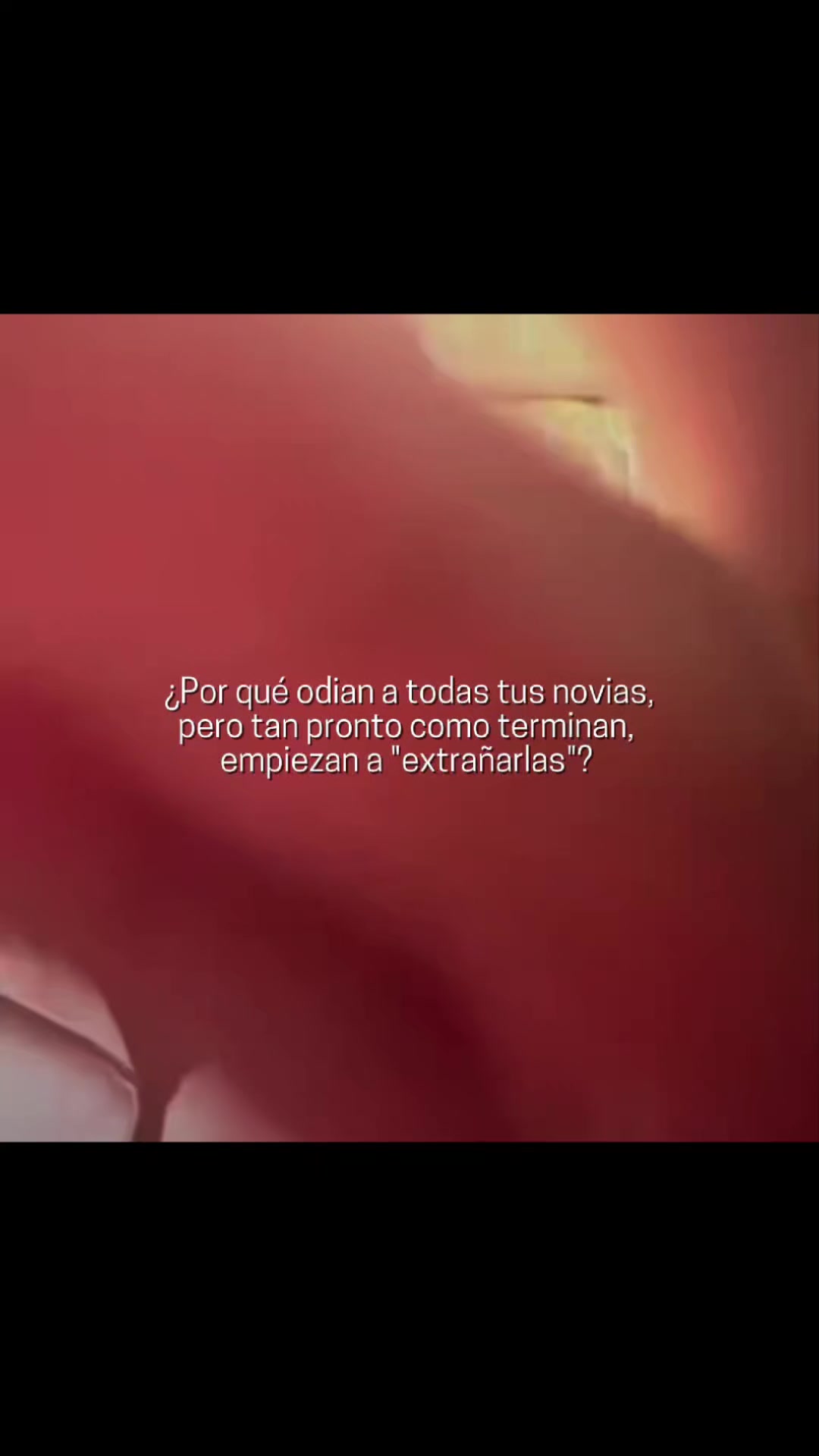 @Rebecca:)