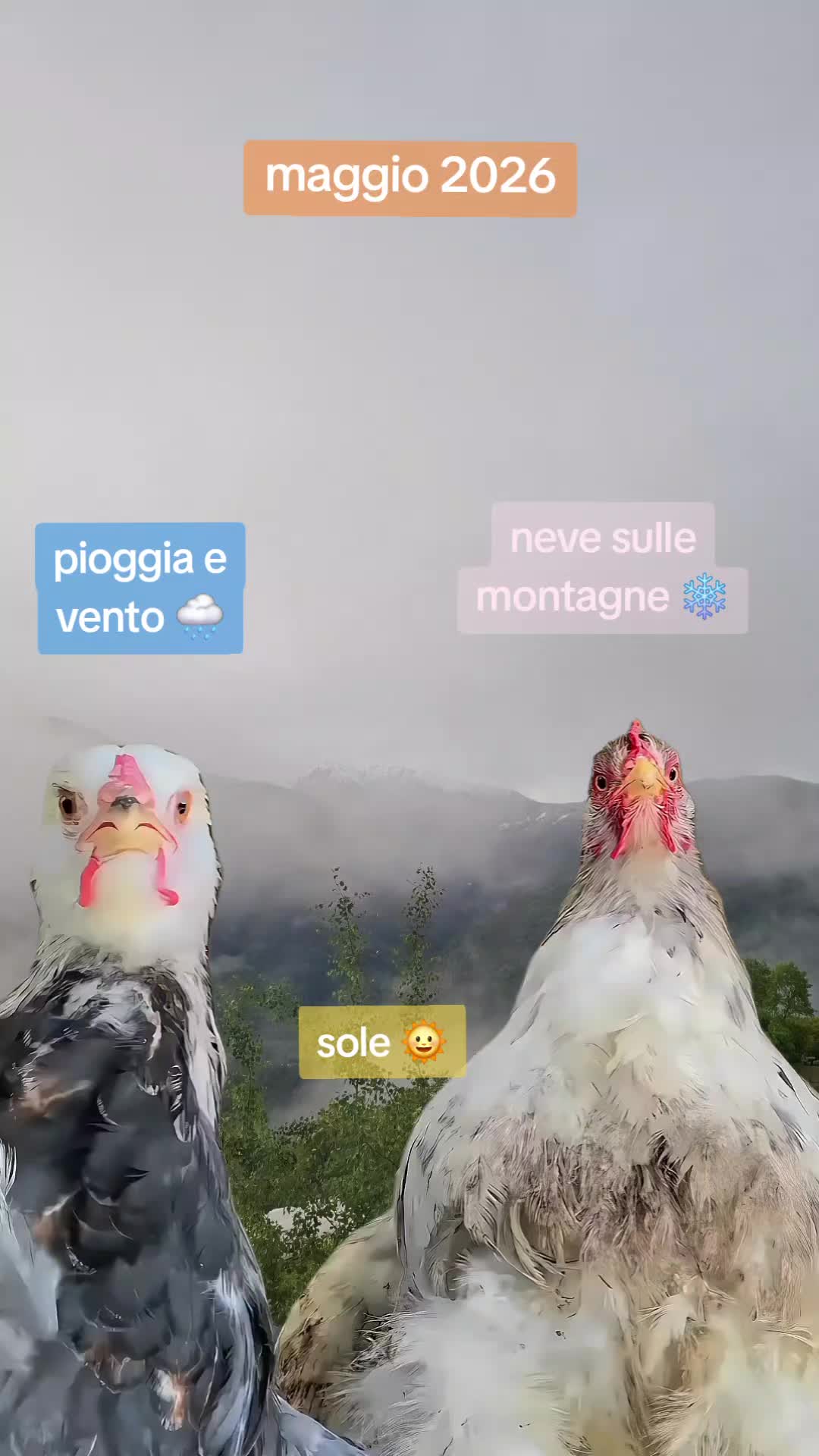 @Monica mamma di 4