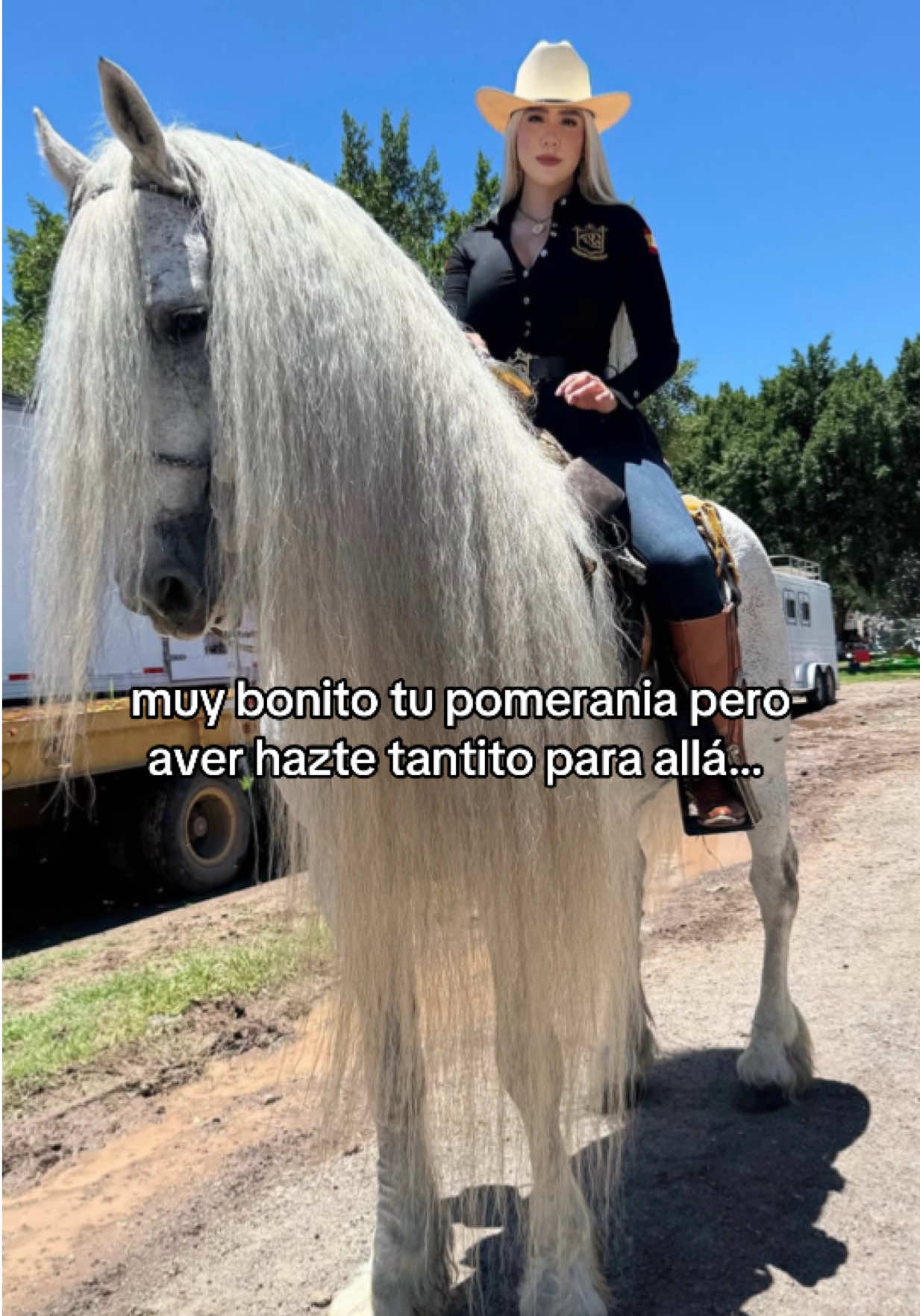 @PMGA