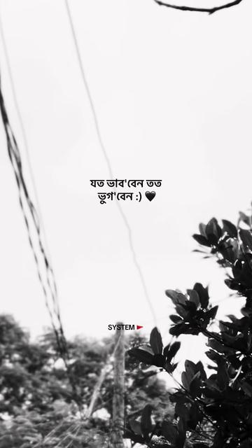 @SYSTEM 🚩