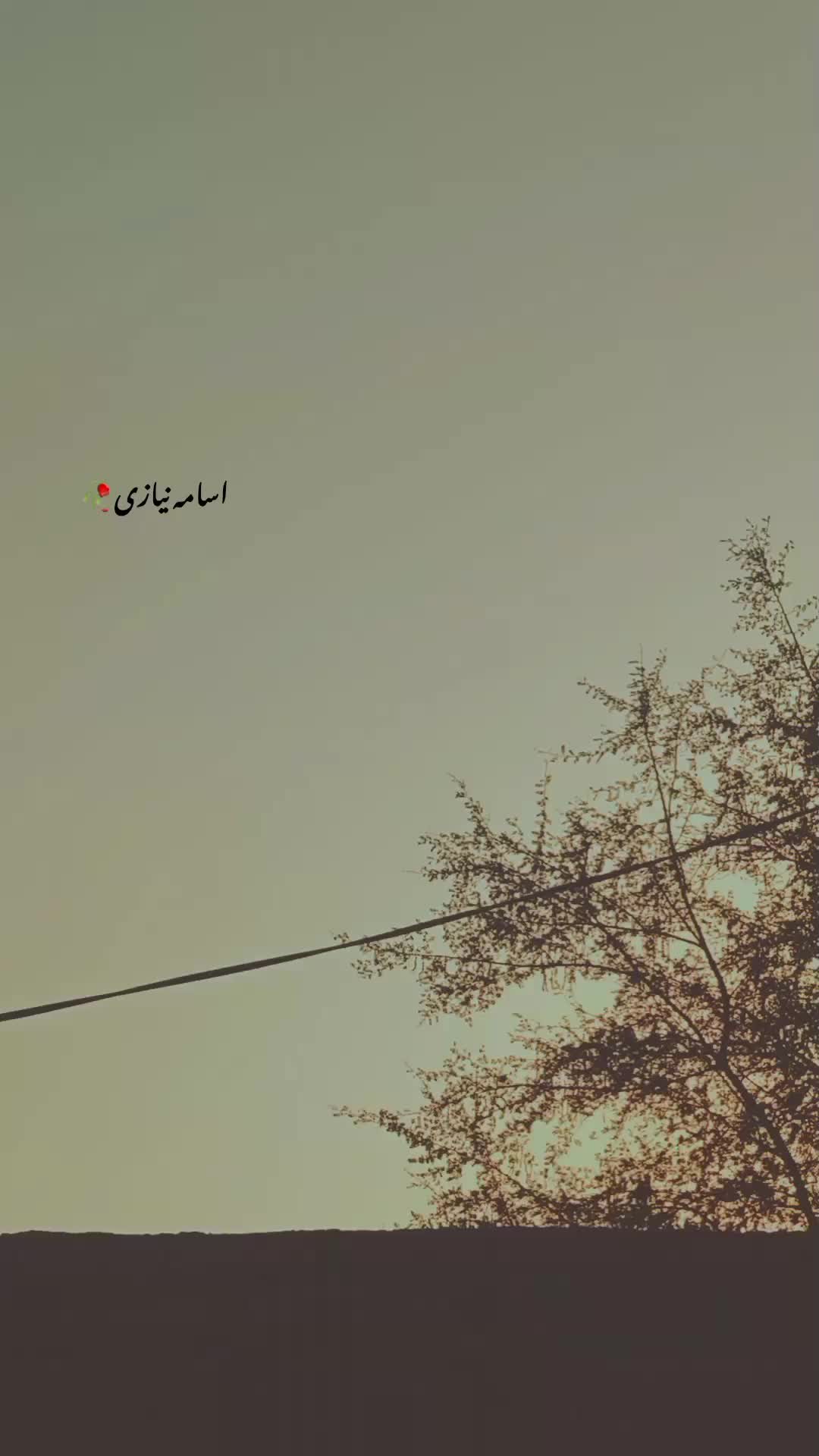 @اُسامہ 🍂