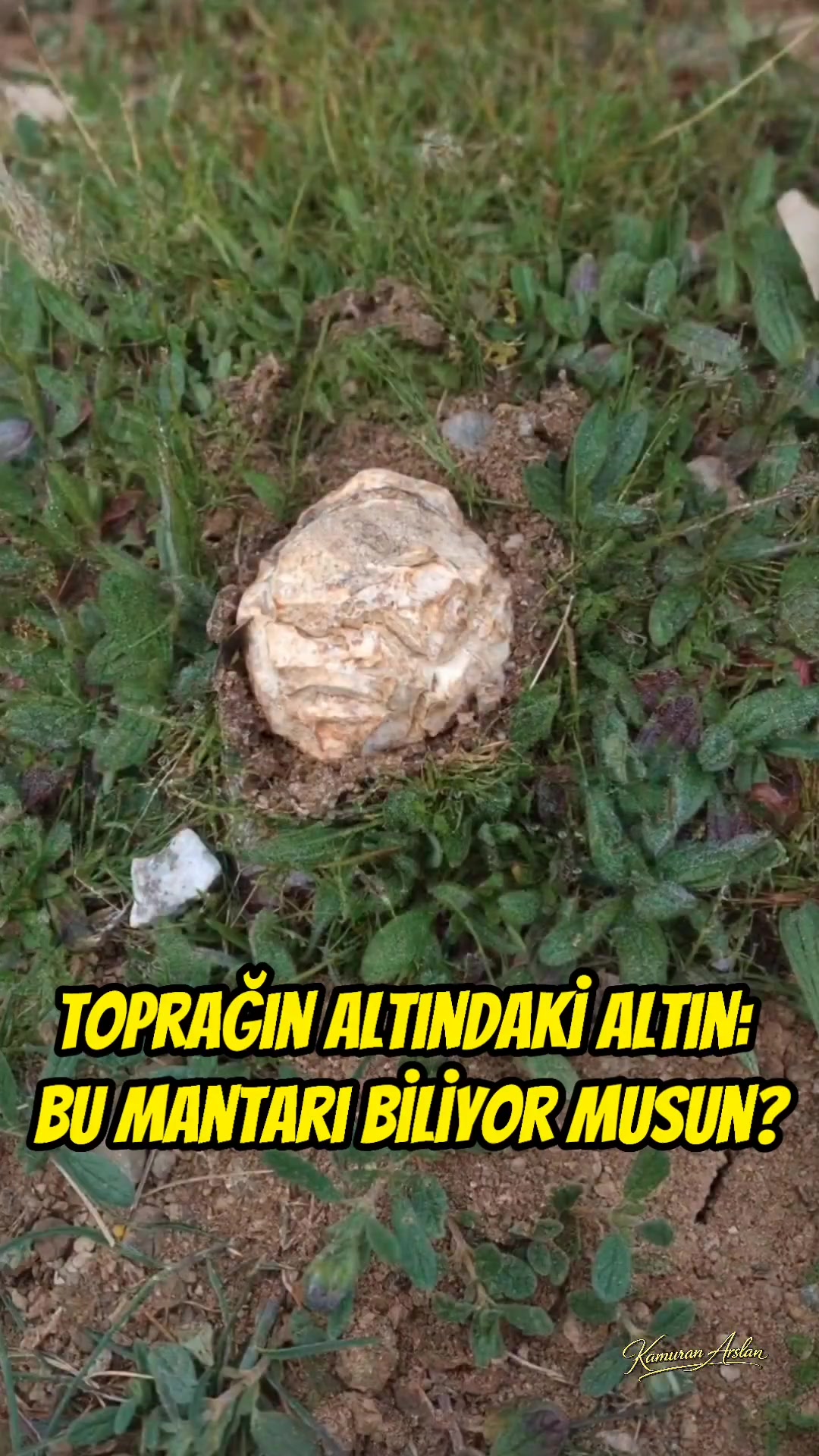 @Kamuran Arslan