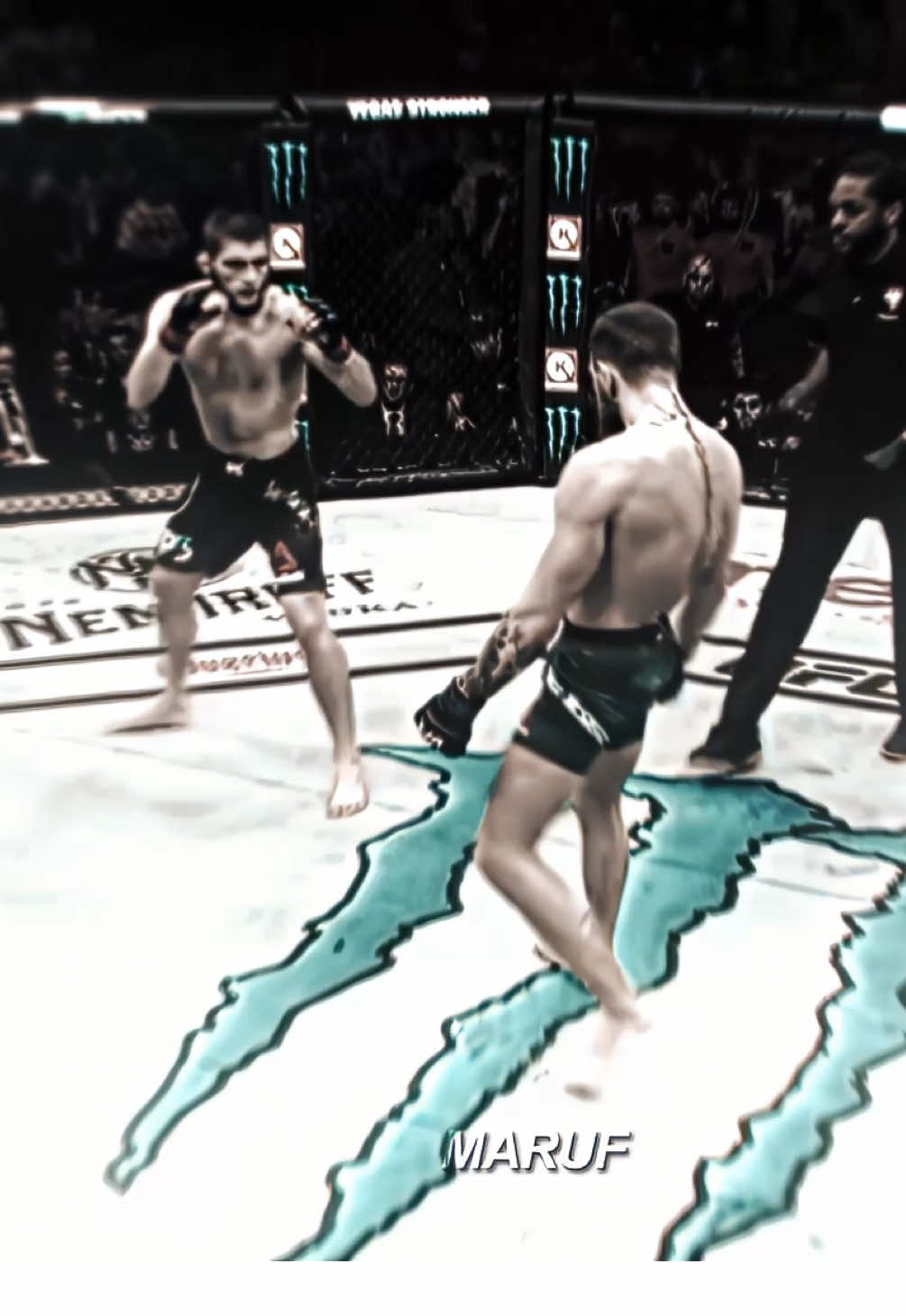 @maruf