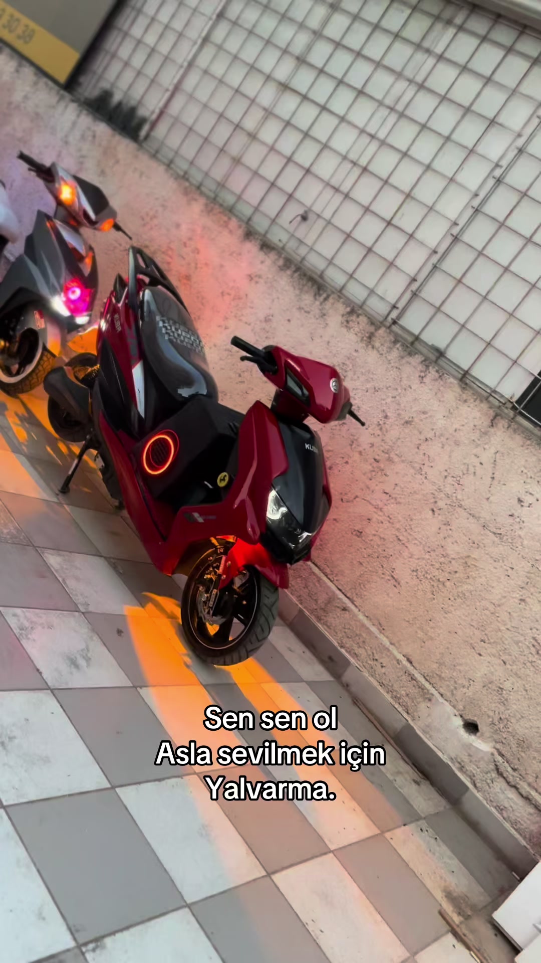 @ANT MOTOR