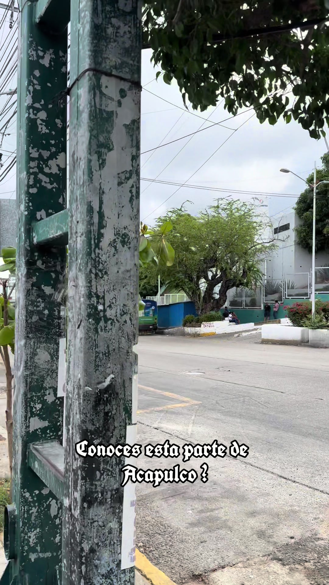 @JORGE TABARES