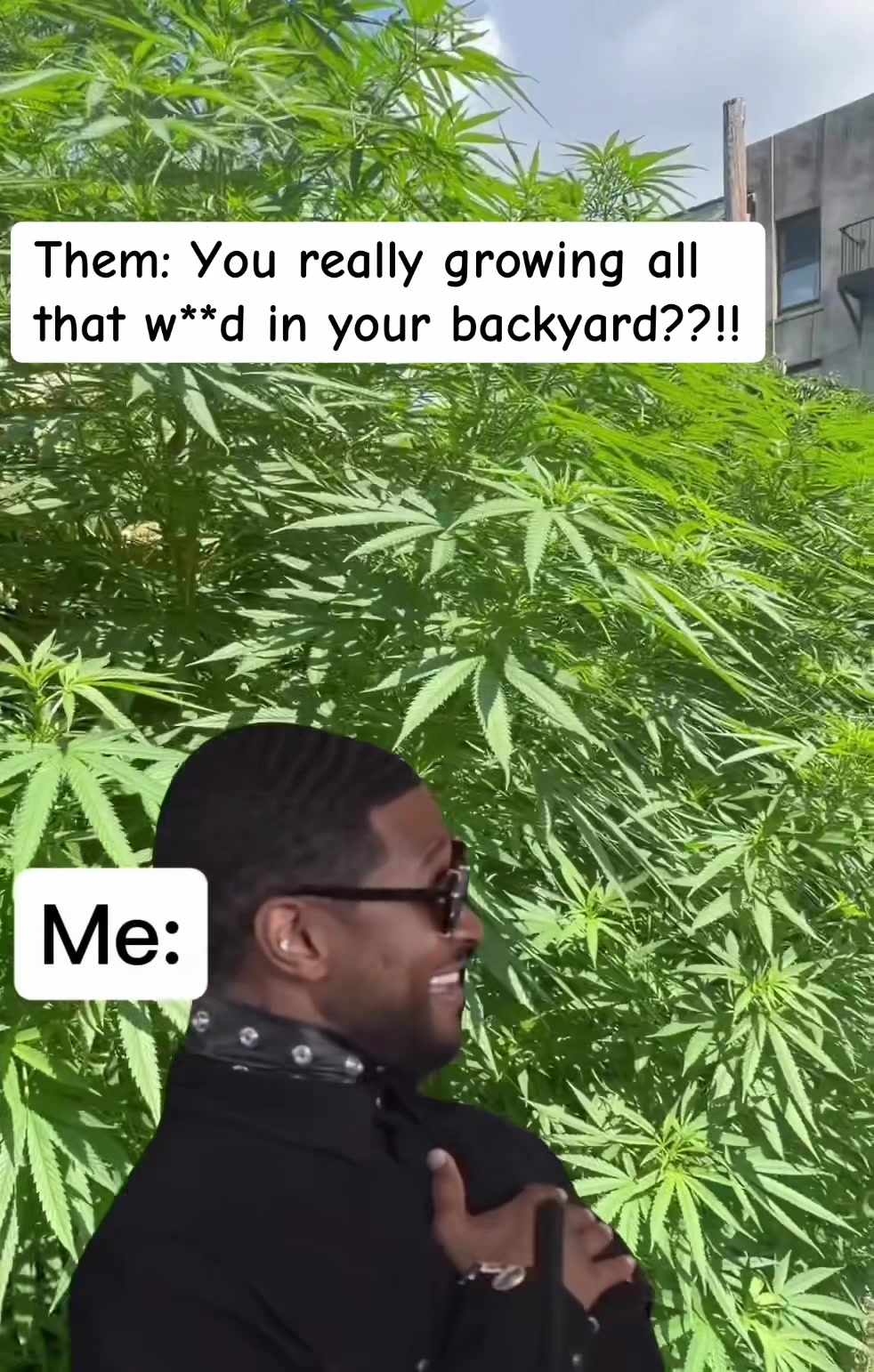 @brogrowsnyc