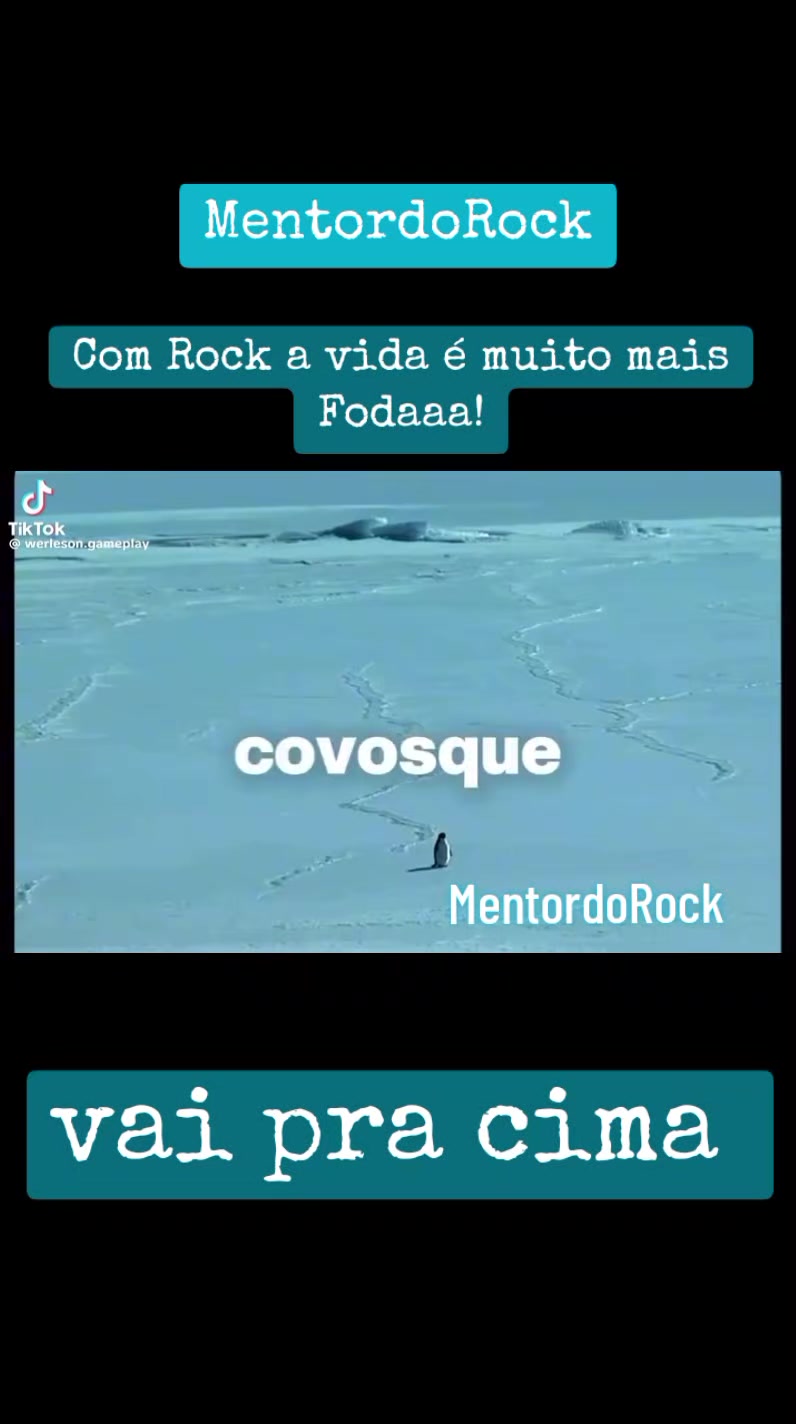 @mentordorock