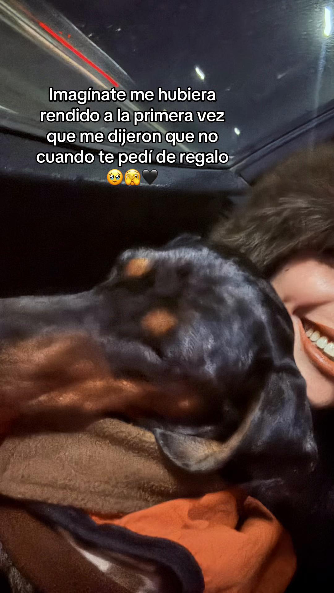 @𝑴𝒊𝒍𝒂 𝑴𝒊𝒍𝒂𝒏𝒆𝒔𝒂 🐾