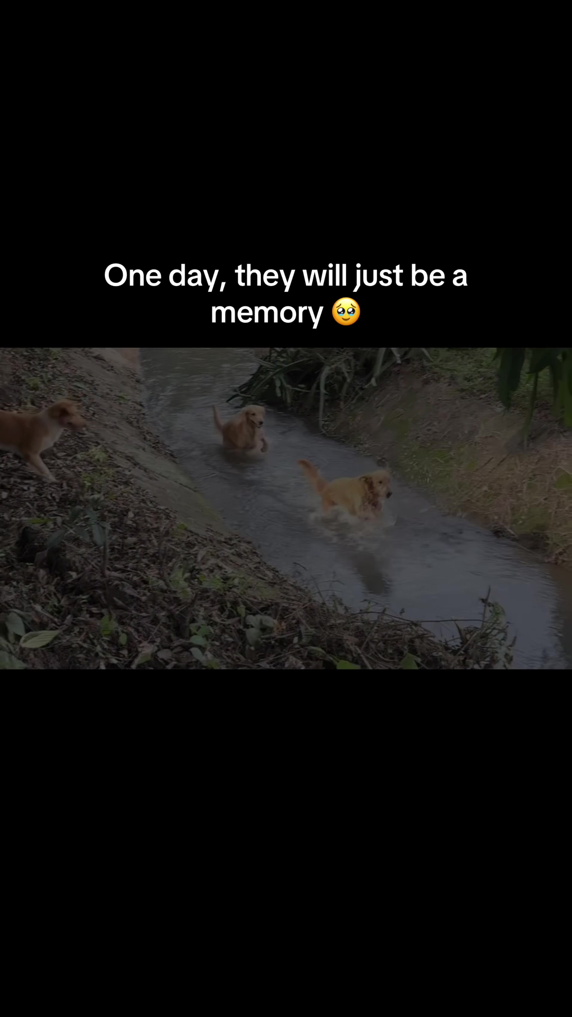 @Wittydhenn