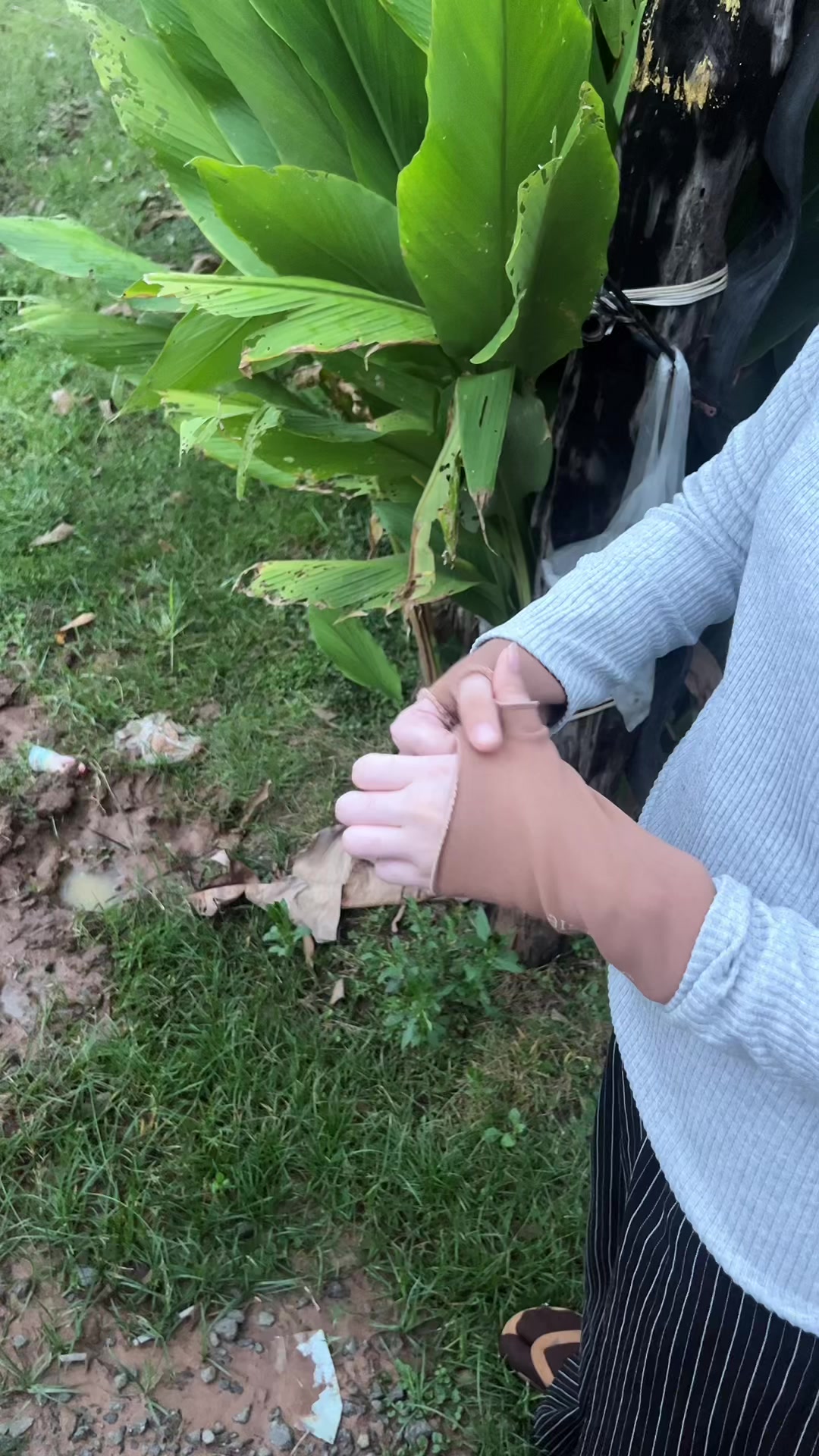@Ÿusea๐ฆฆ