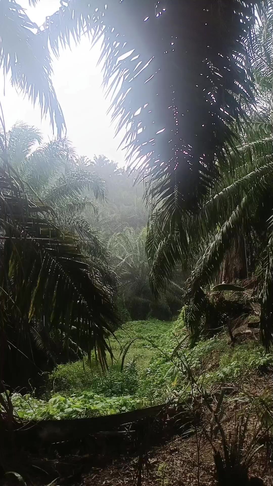 @27℅